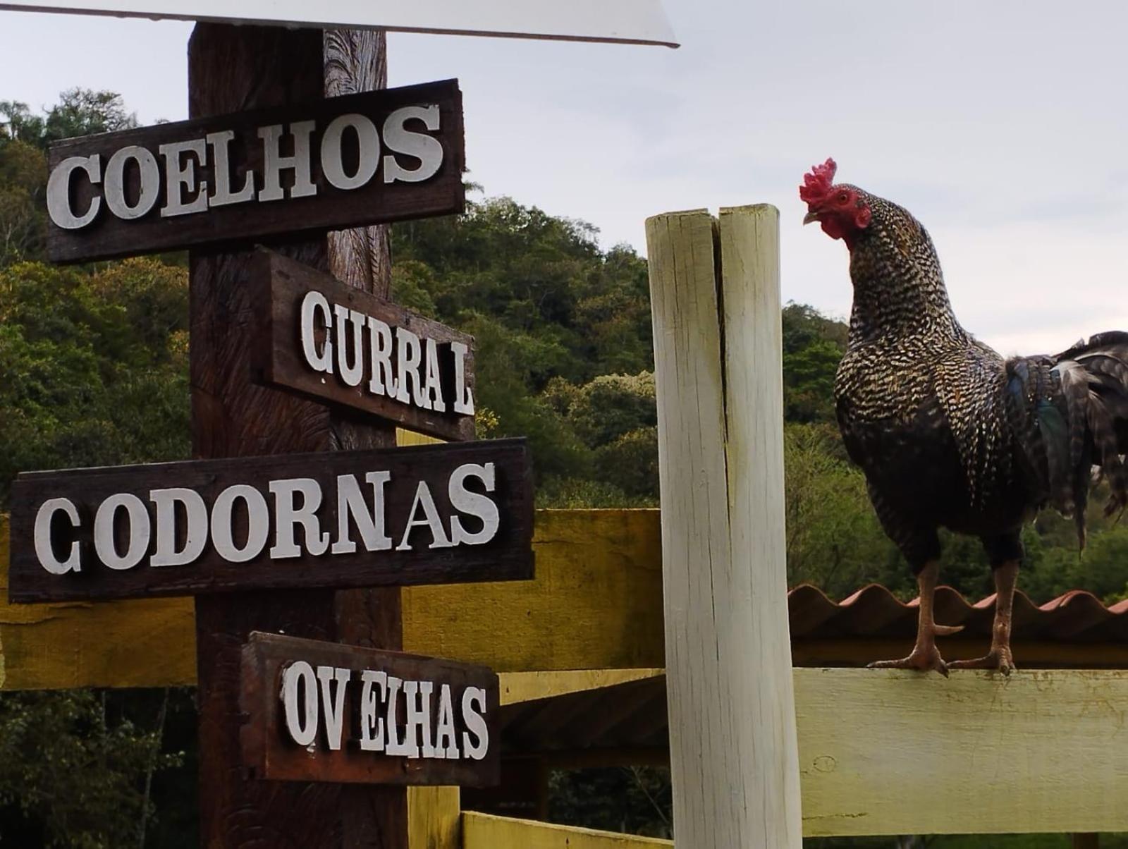 POUSADA PE NA TERRA EM GUARAREMA