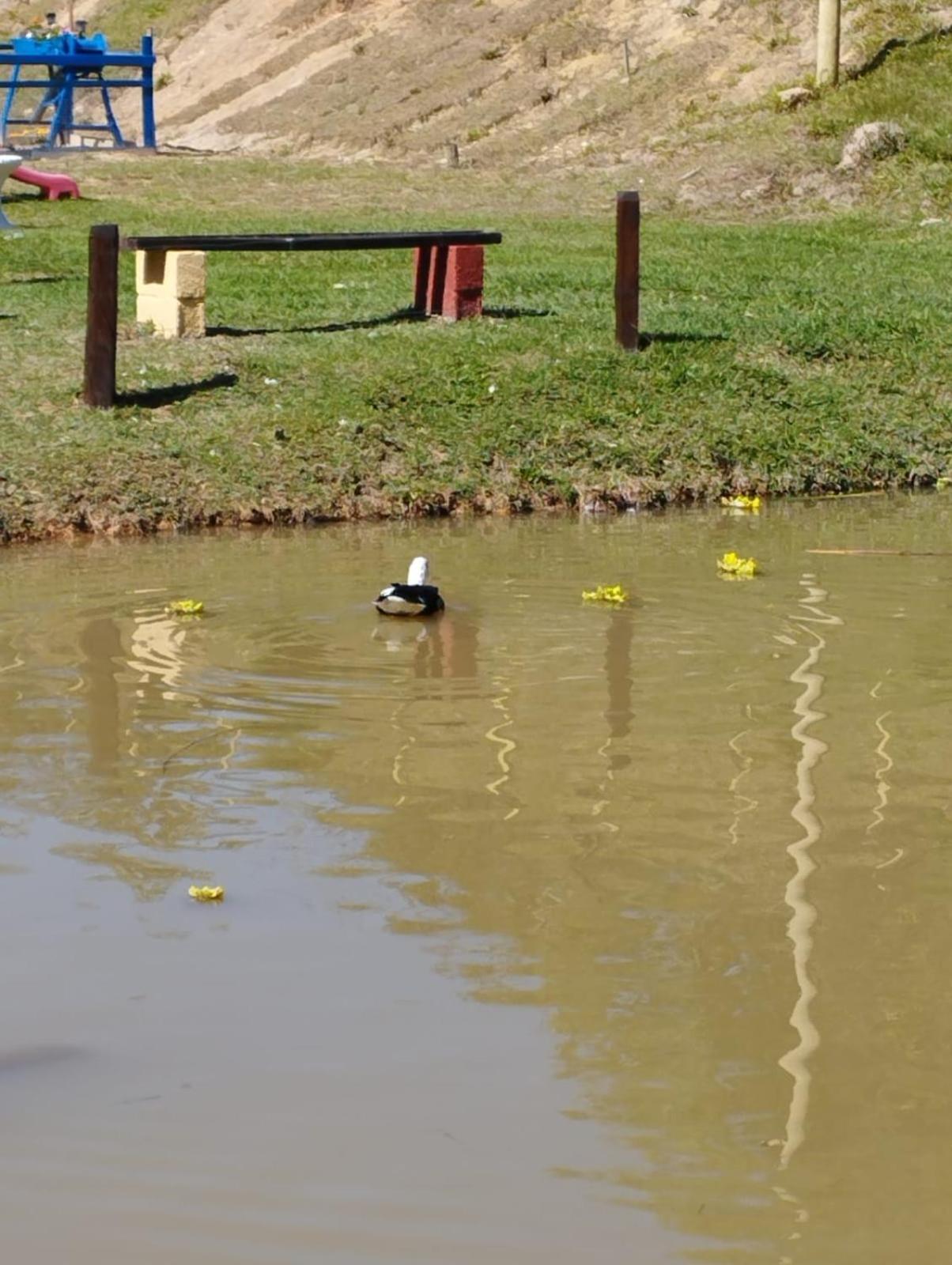 POUSADA PE NA TERRA EM GUARAREMA