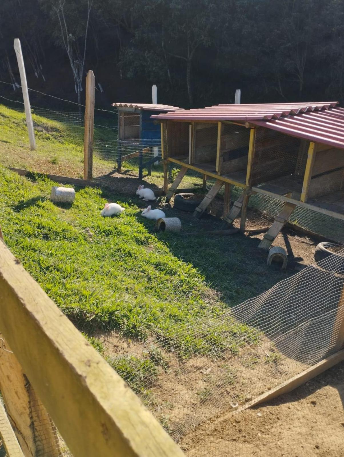 POUSADA PE NA TERRA EM GUARAREMA