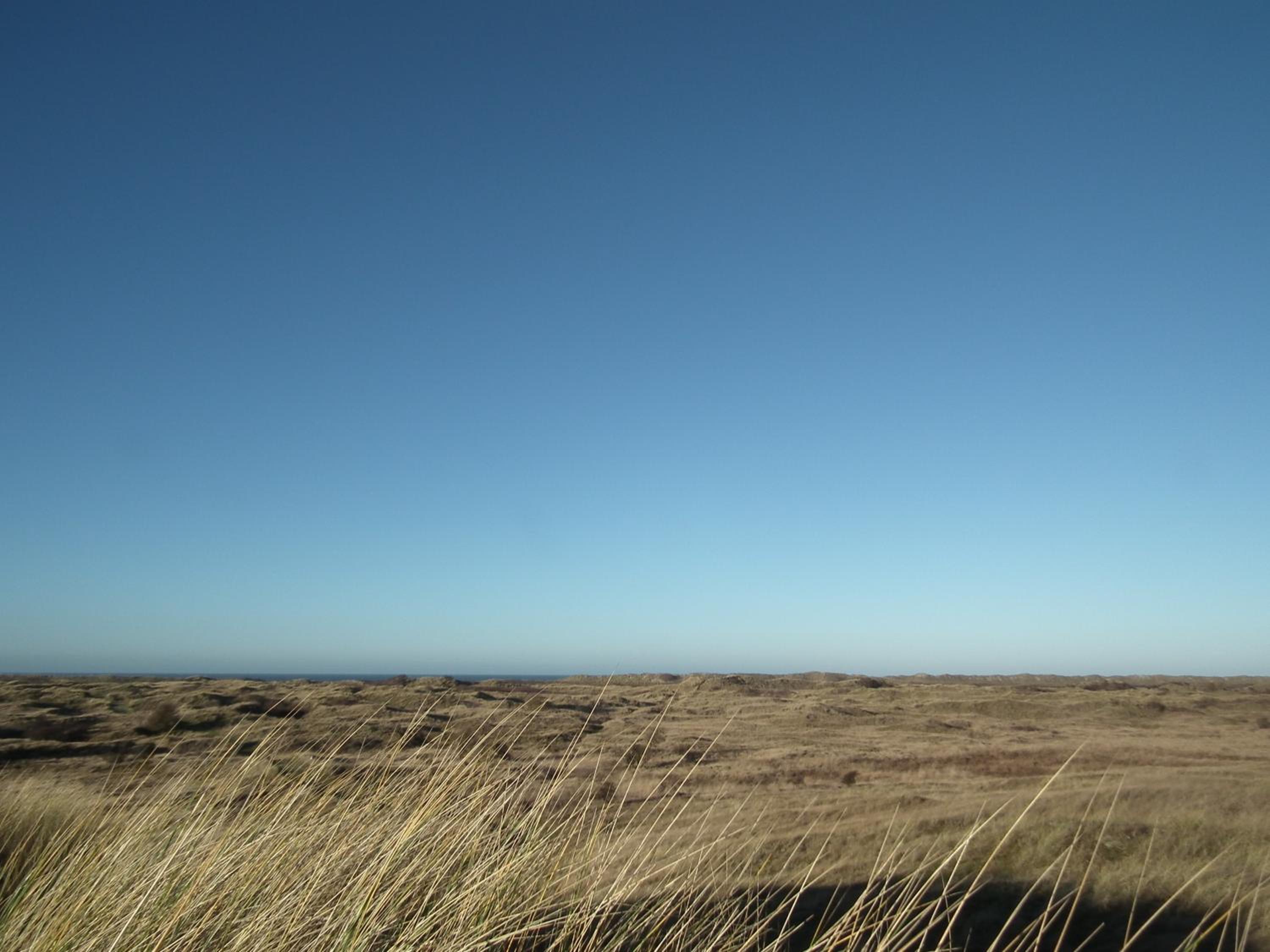Hollumerstrand
