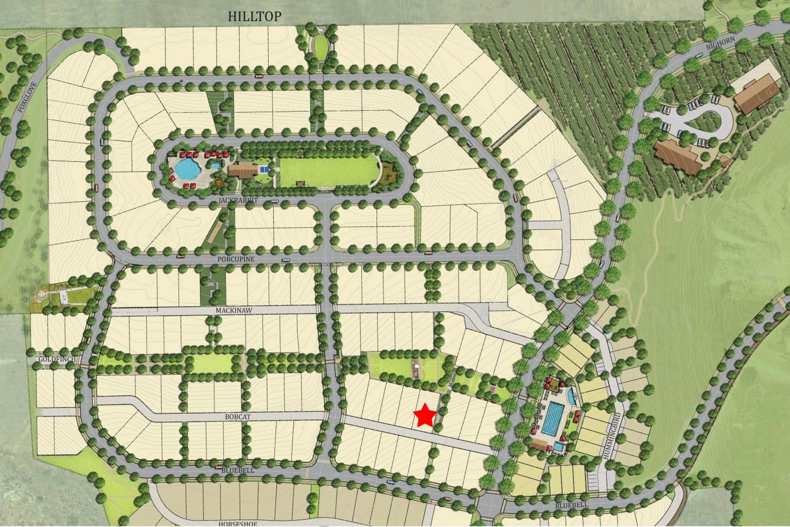 Photo 38