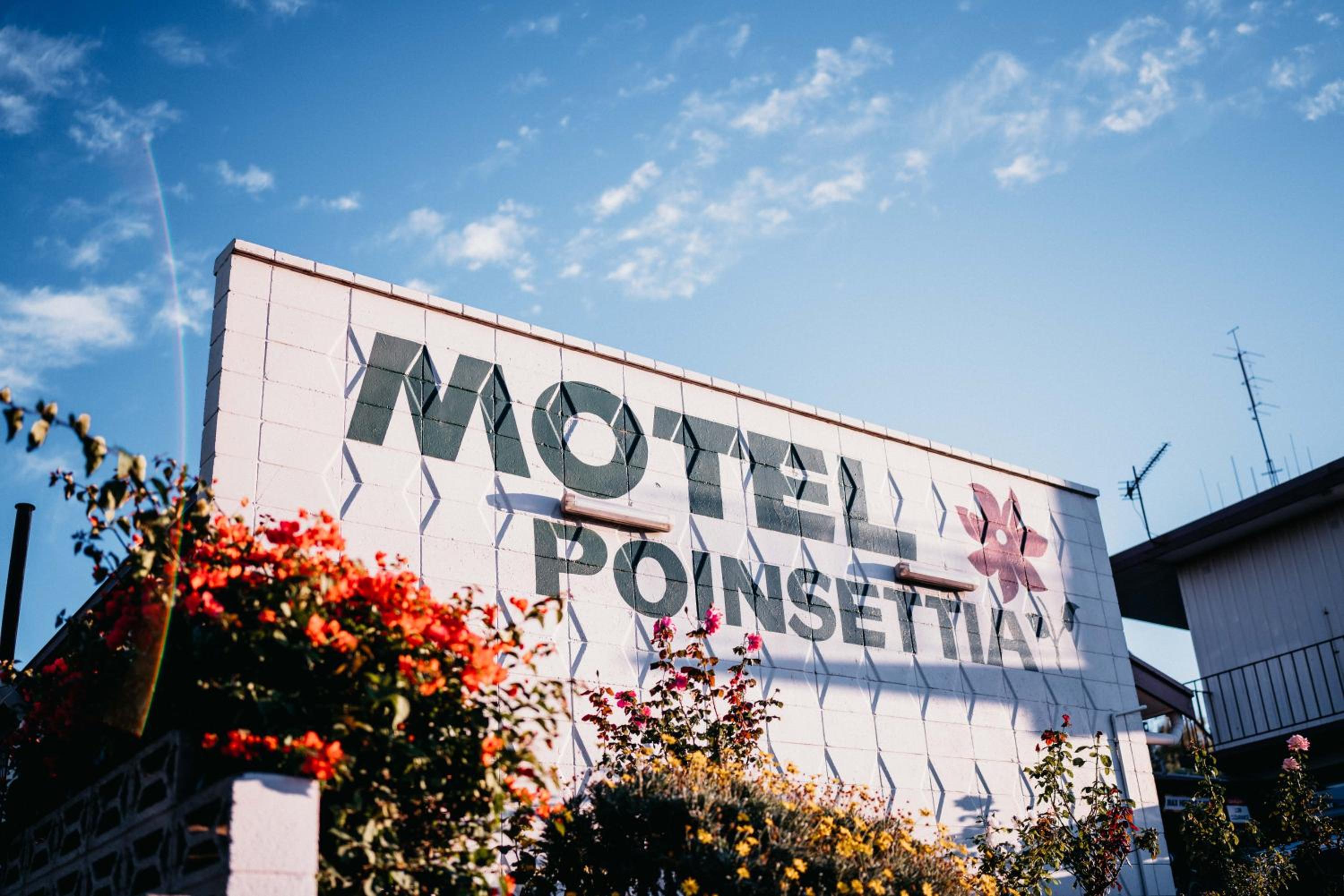 Motel Poinsettia view 3