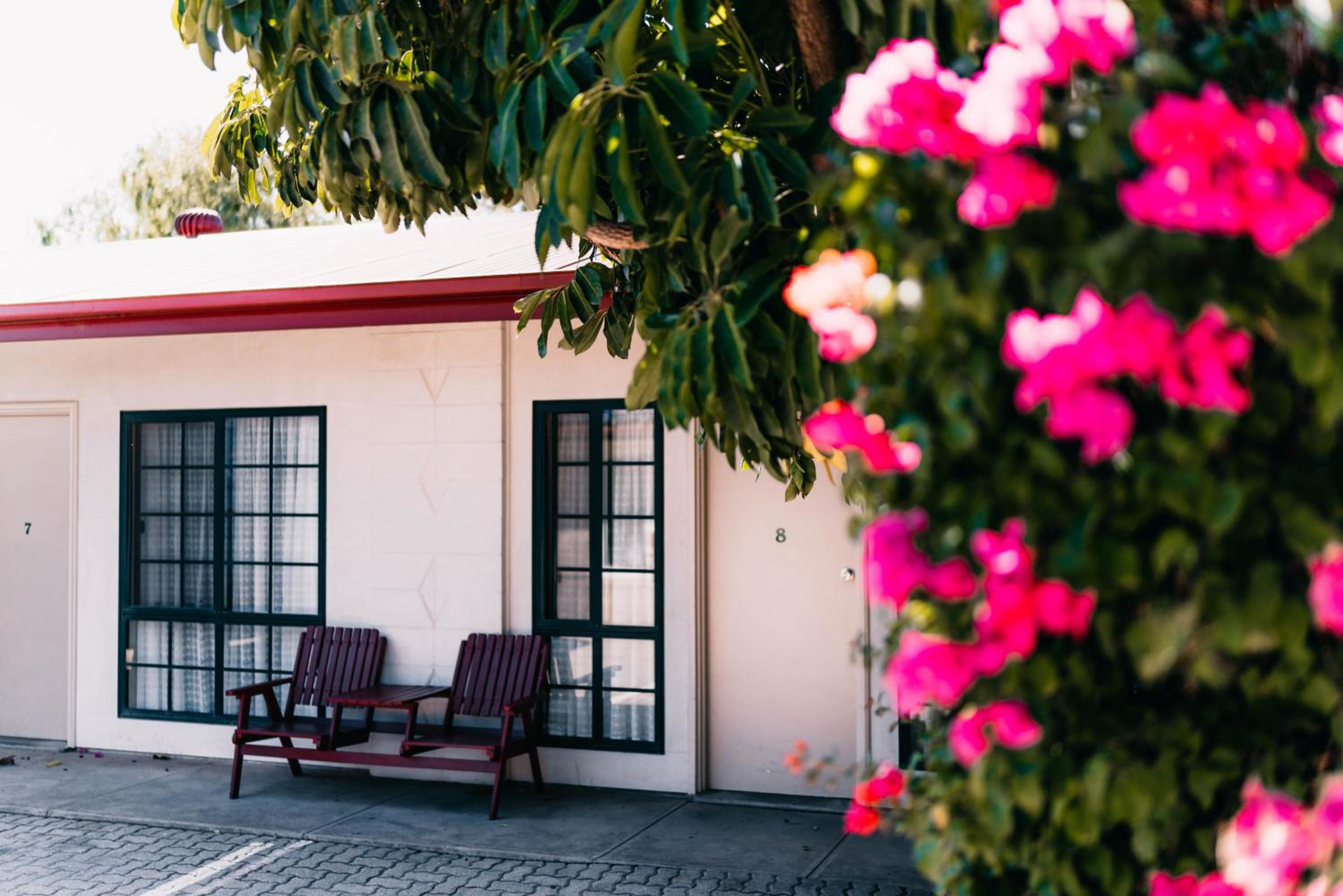 Motel Poinsettia view 5