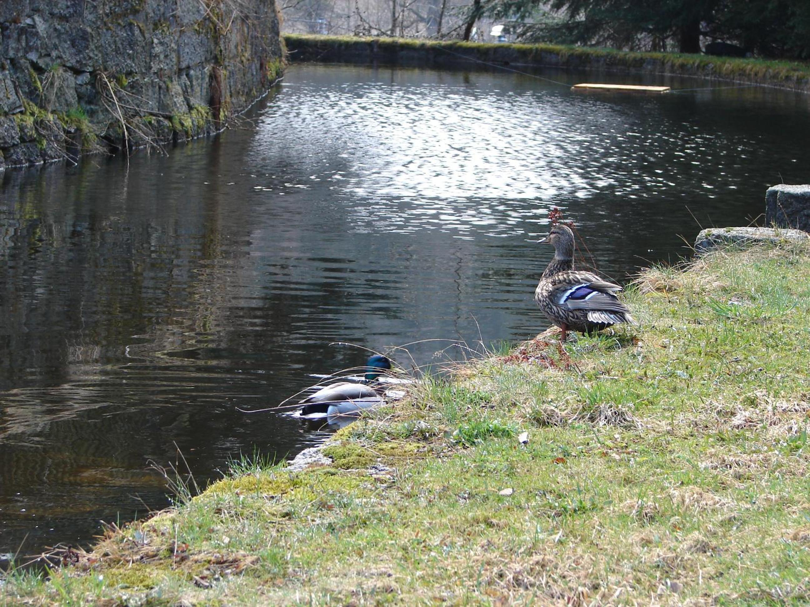 Photo 22