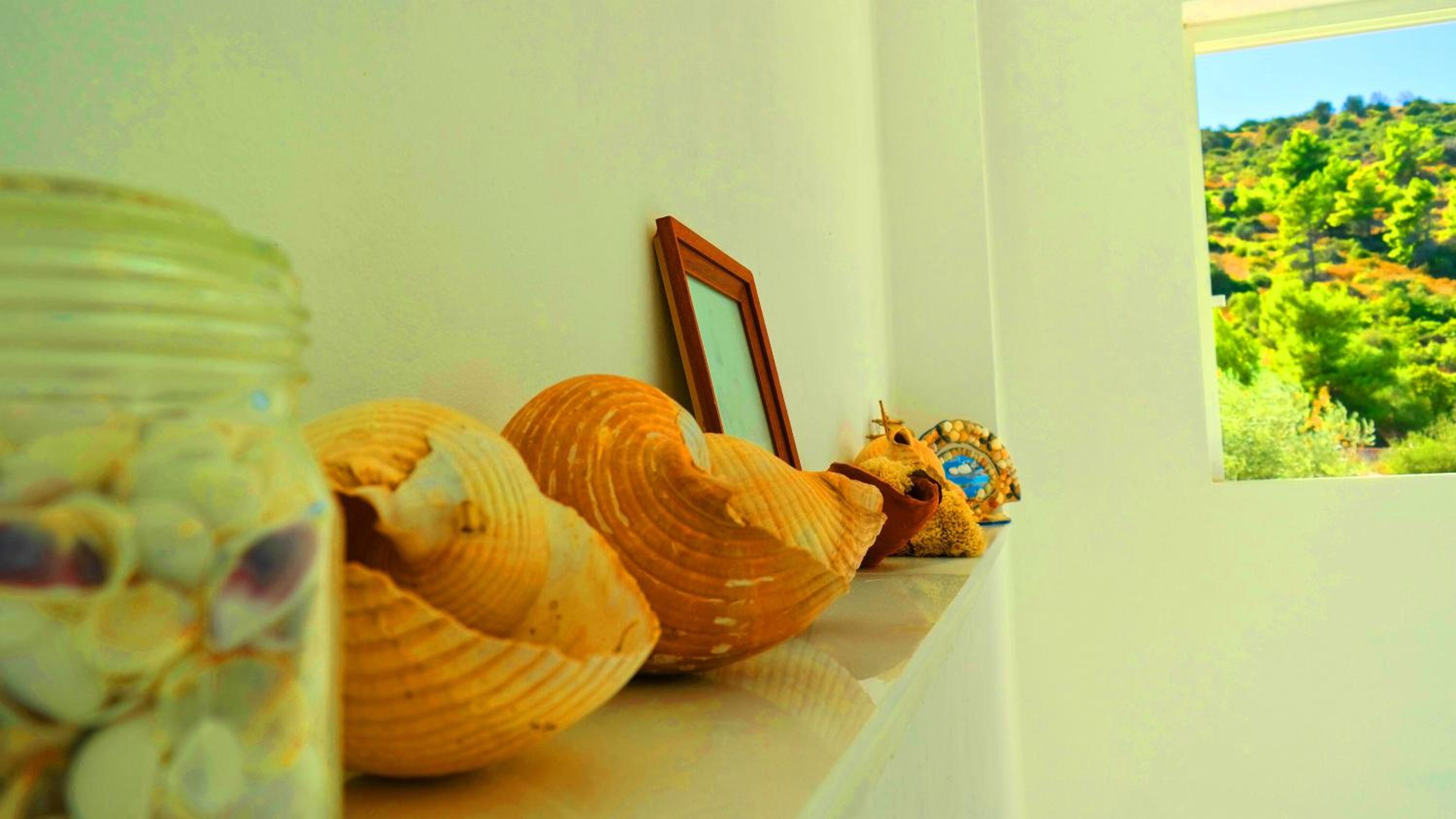Photo 38
