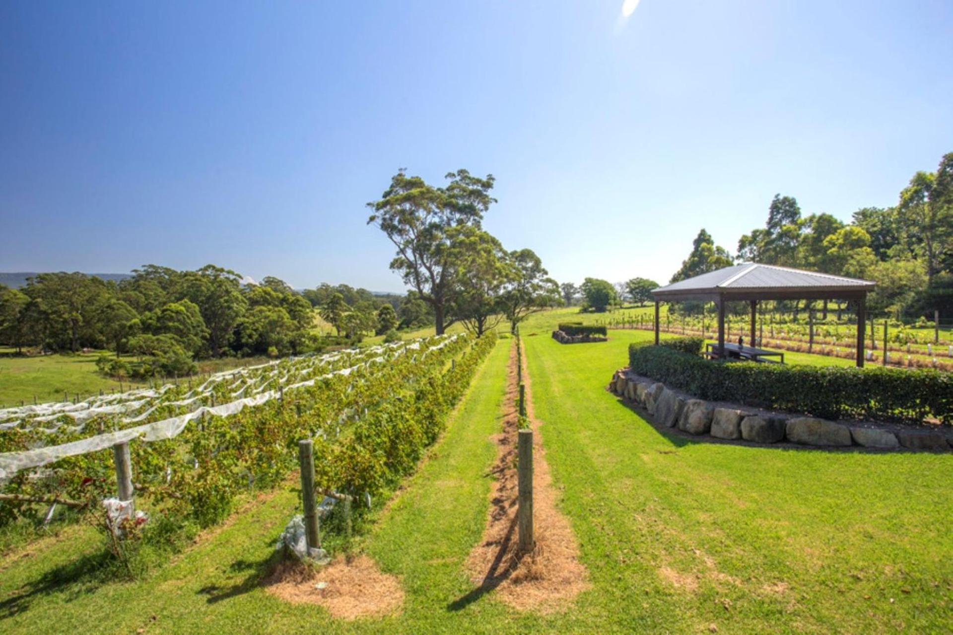 Stone Cottage - vineyard estate w. fireplace