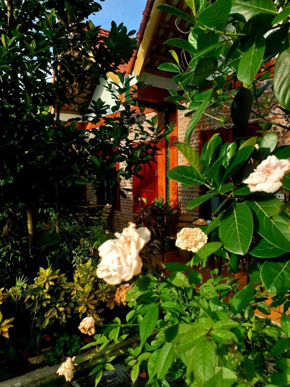 Photo 49