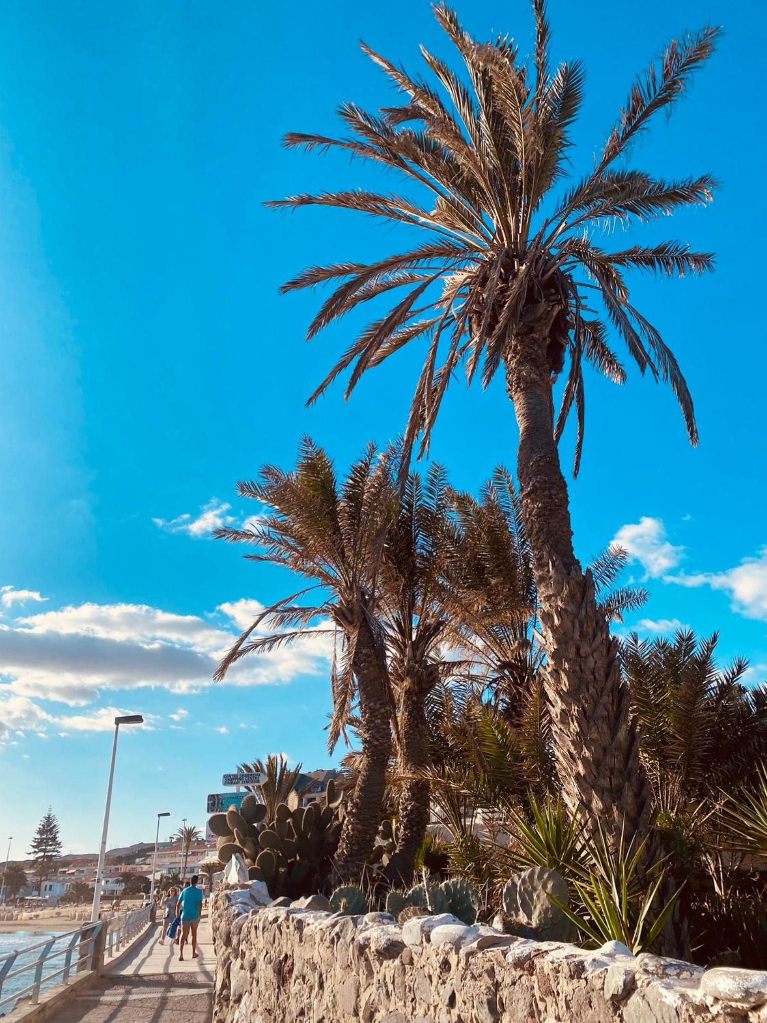 Atlantic View Maspalomas