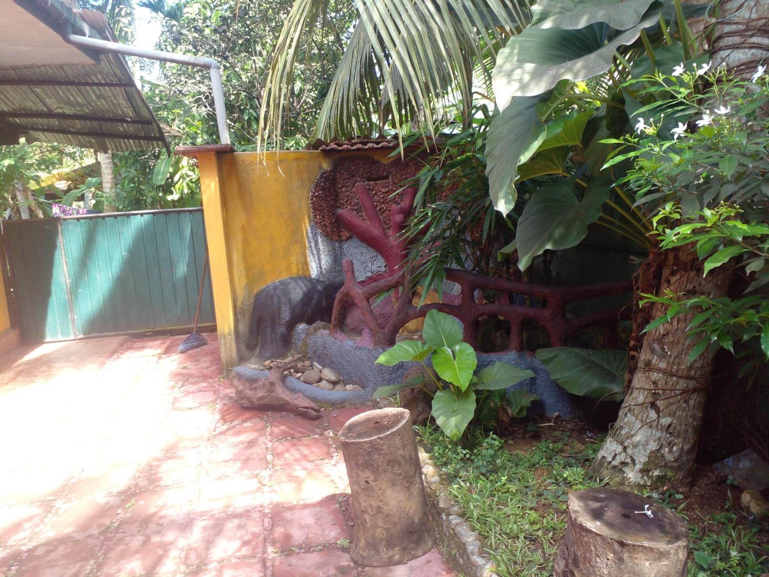 Photo 18