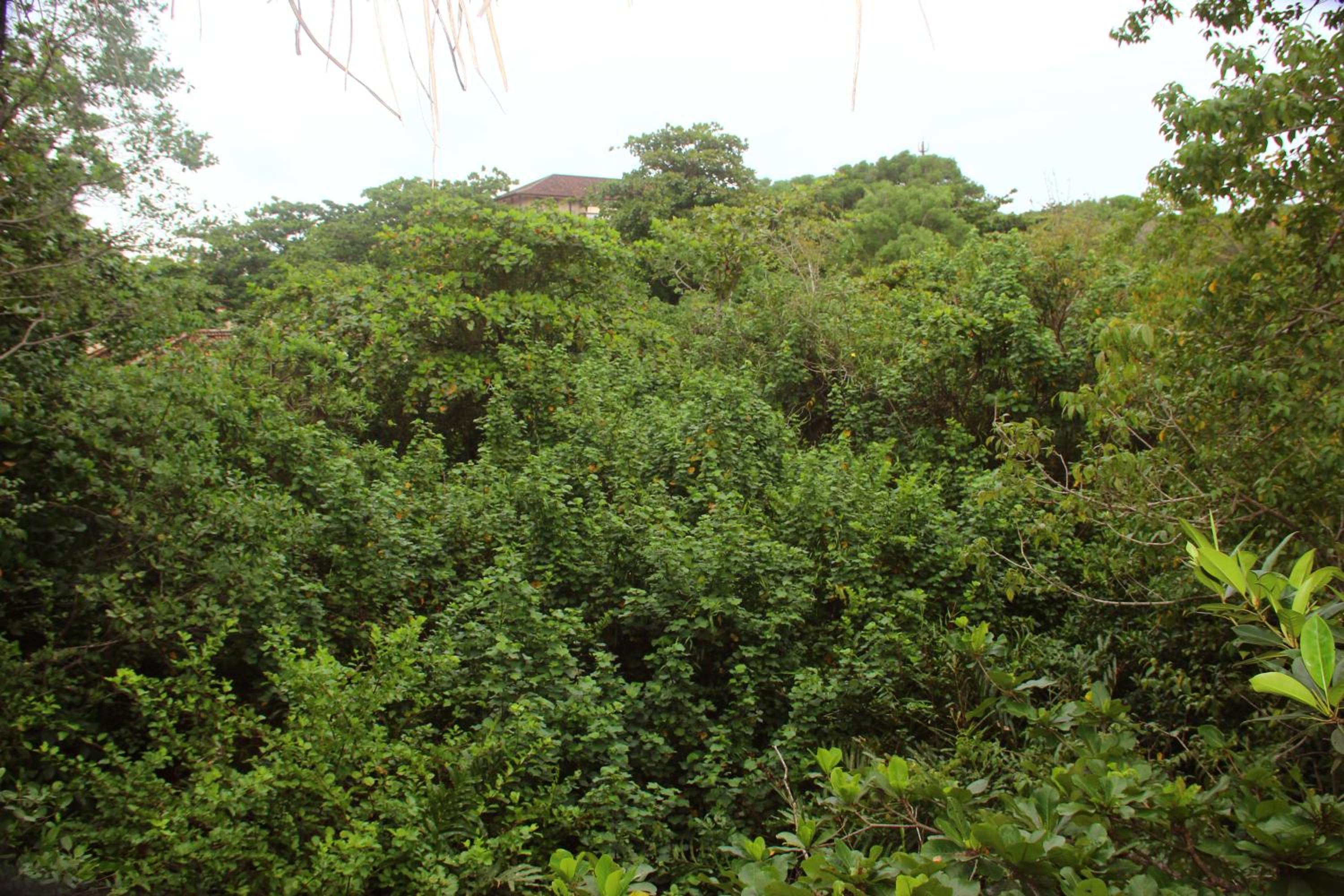 Seasons Four Mini Jungle Cabana