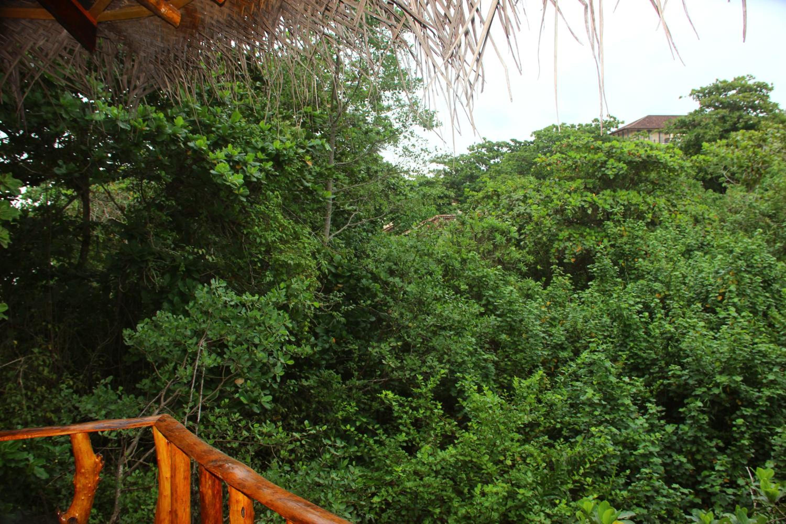 Seasons Four Mini Jungle Cabana
