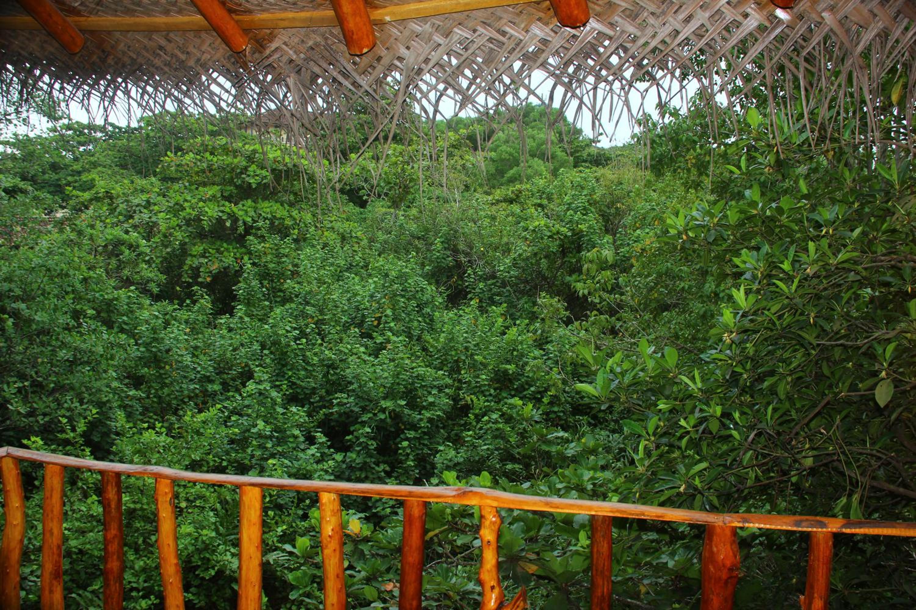 Seasons Four Mini Jungle Cabana