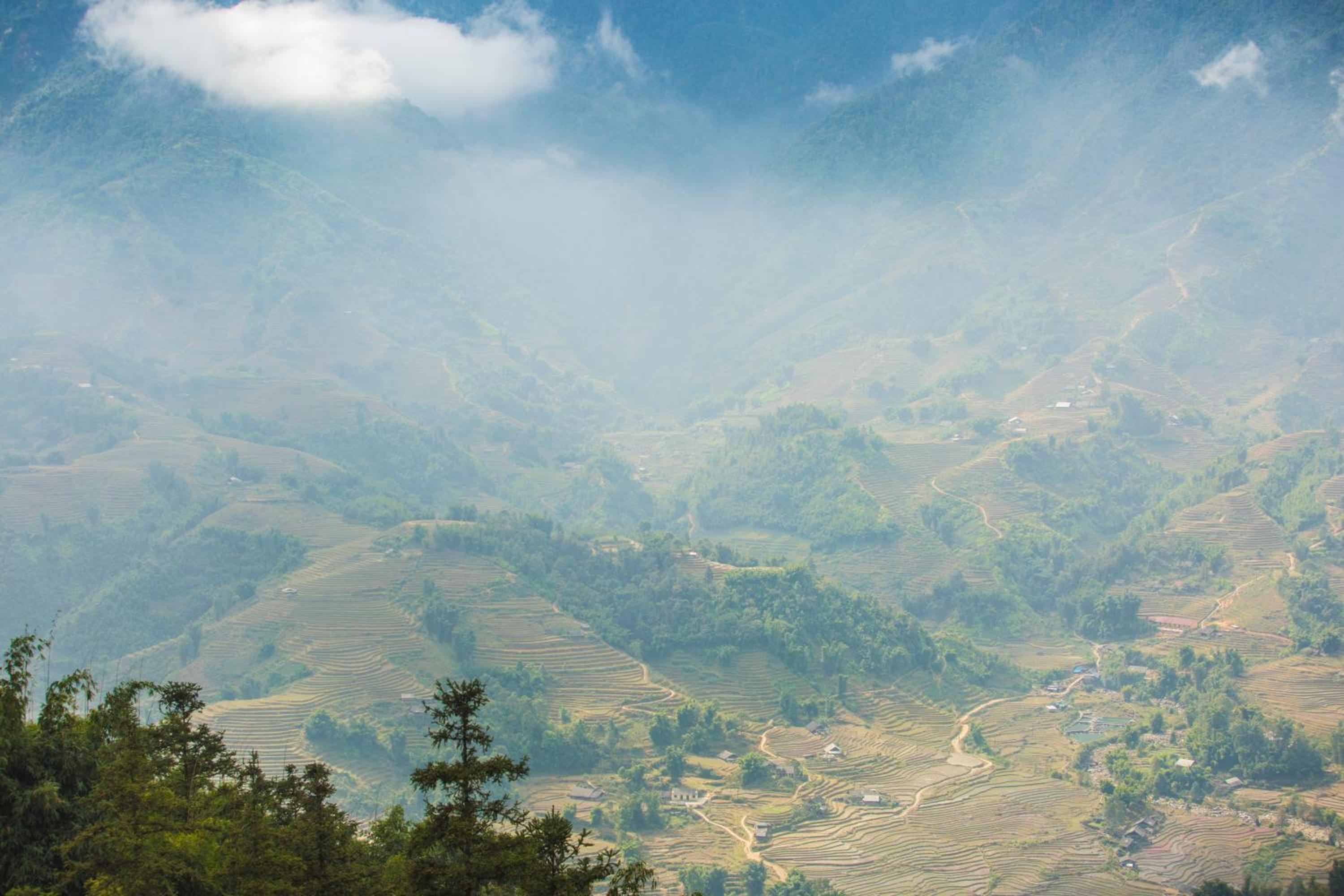 Sapa Jade Hill Resort & Spa 48
