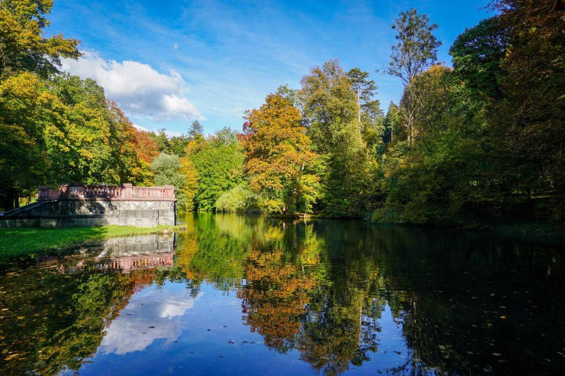 Ferienwohnung Waldblick