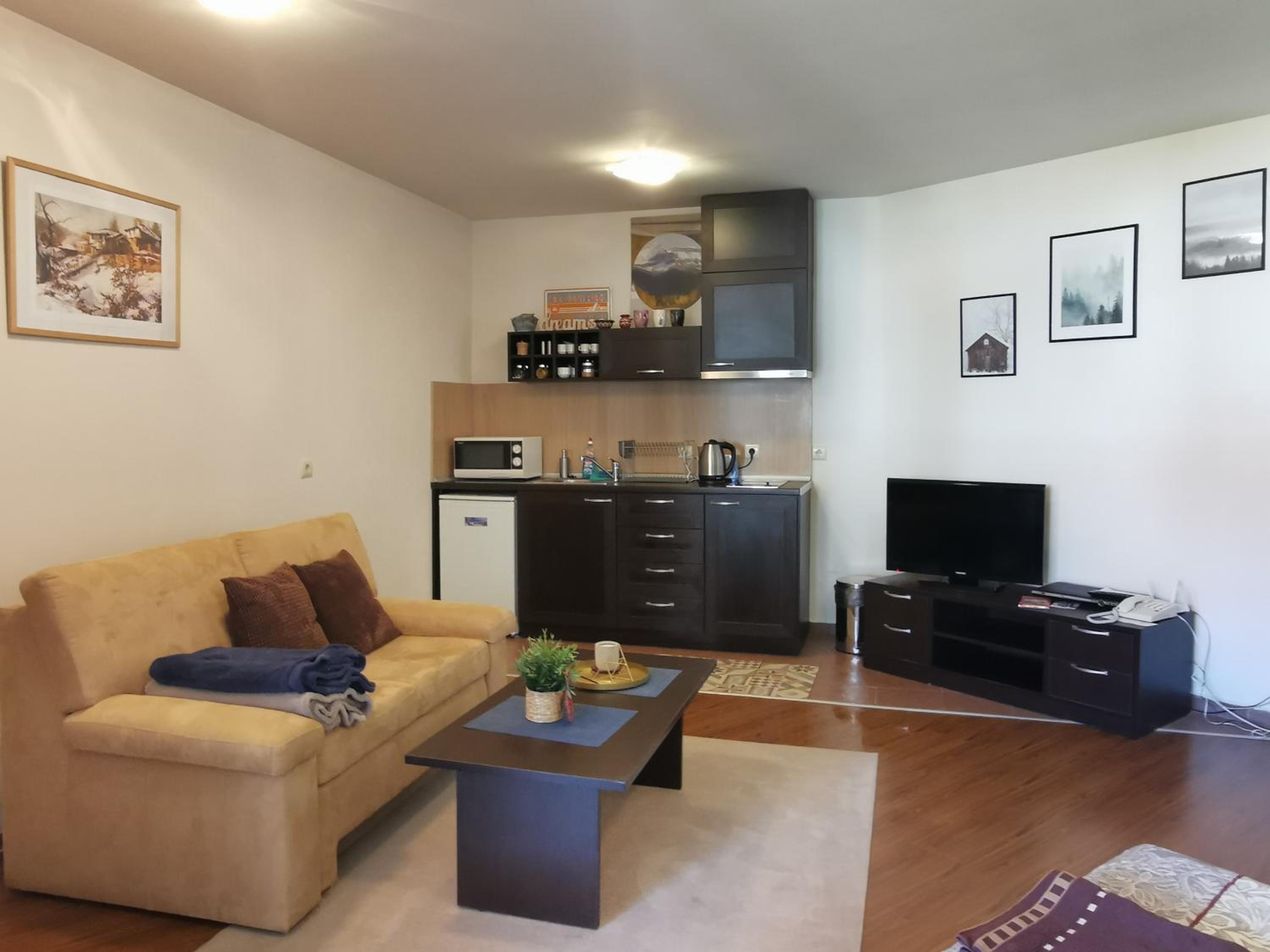 Sunny studio apartment - few steps from Gondola view 3