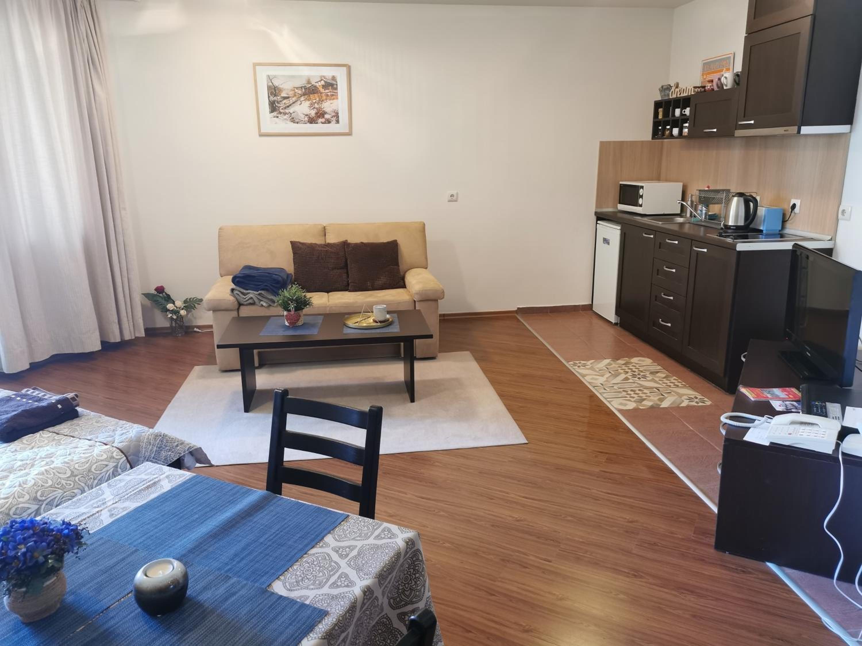 Sunny studio apartment - few steps from Gondola view 2