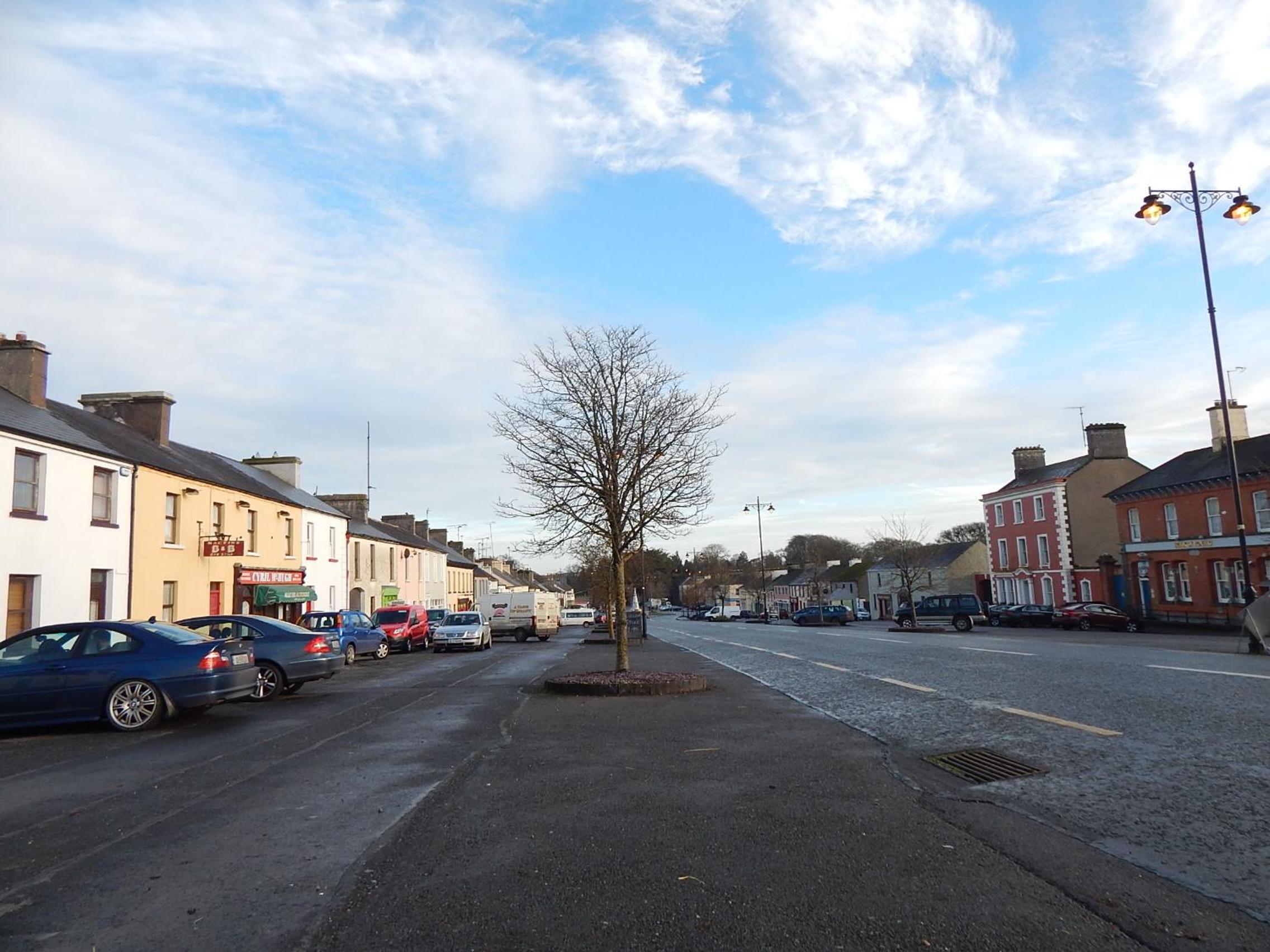 Westgate House B&B Strokestown view 2
