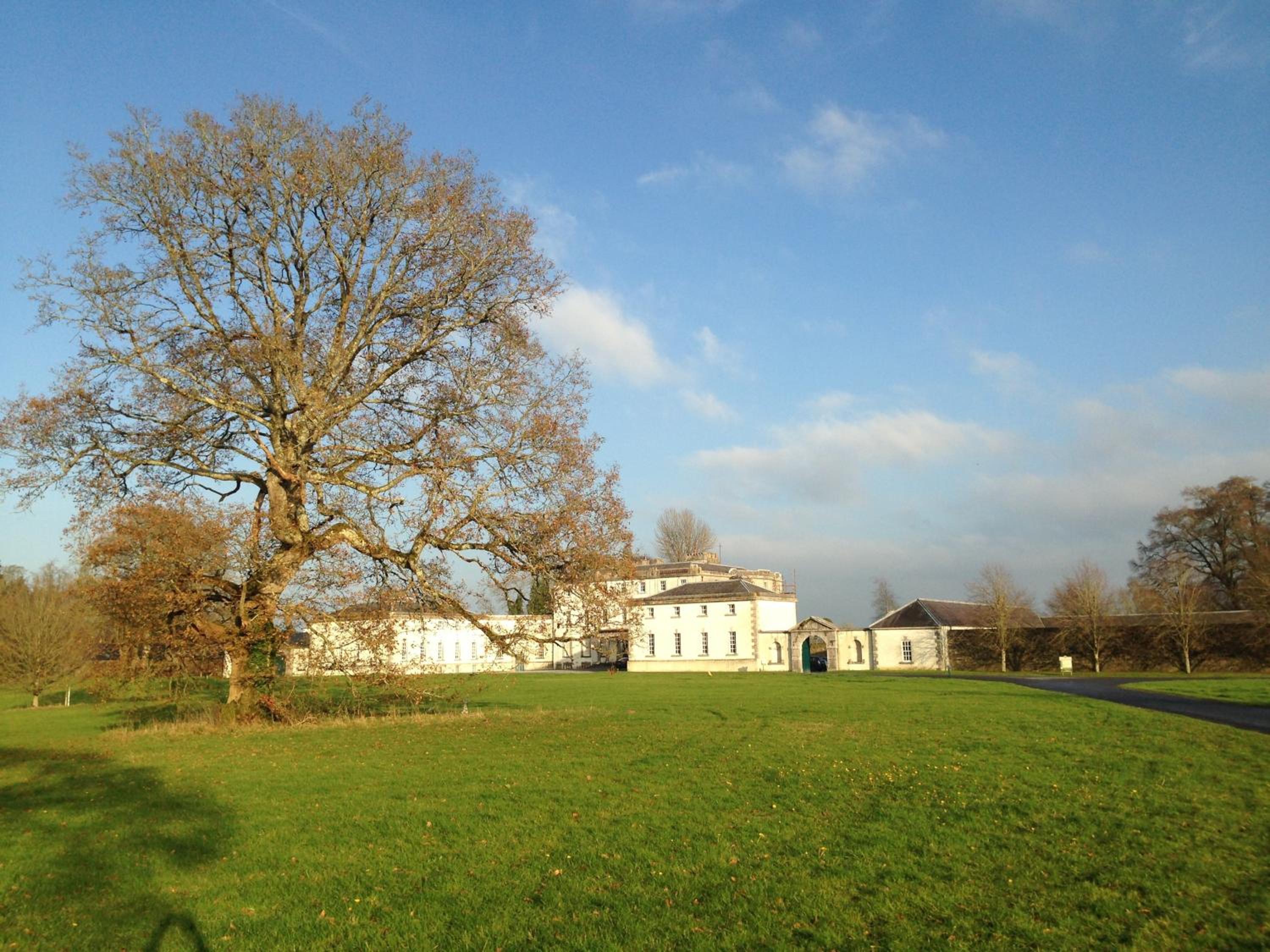 Westgate House B&B Strokestown view 3