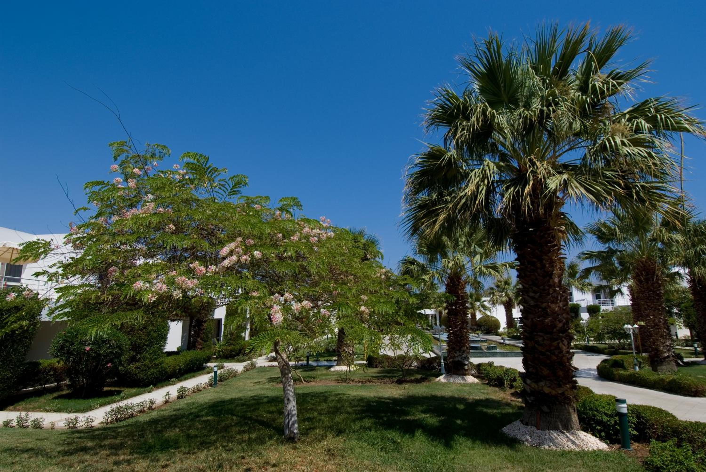 Photo 45