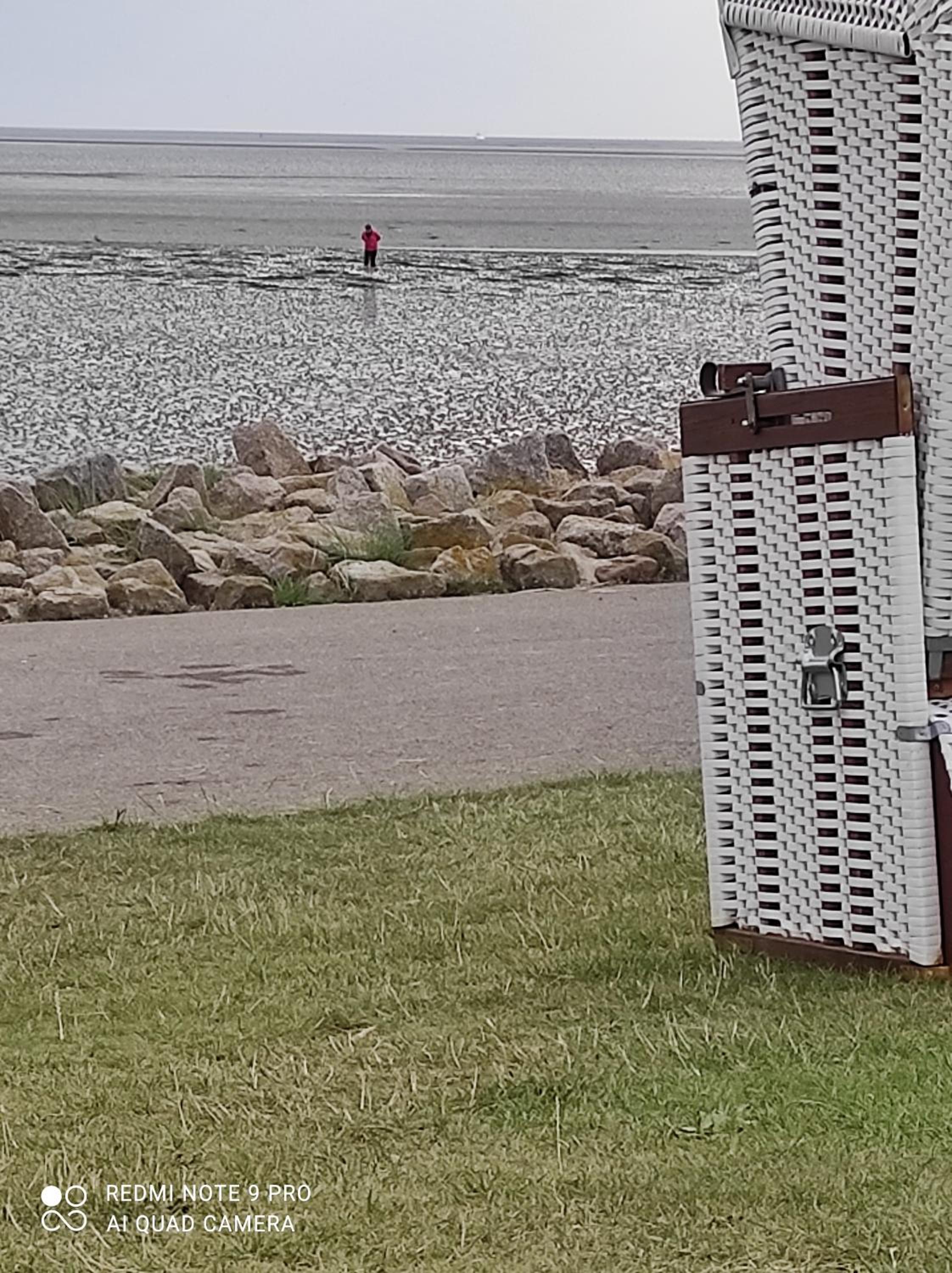 1-Raum-Apartment Seagull Seemöwe