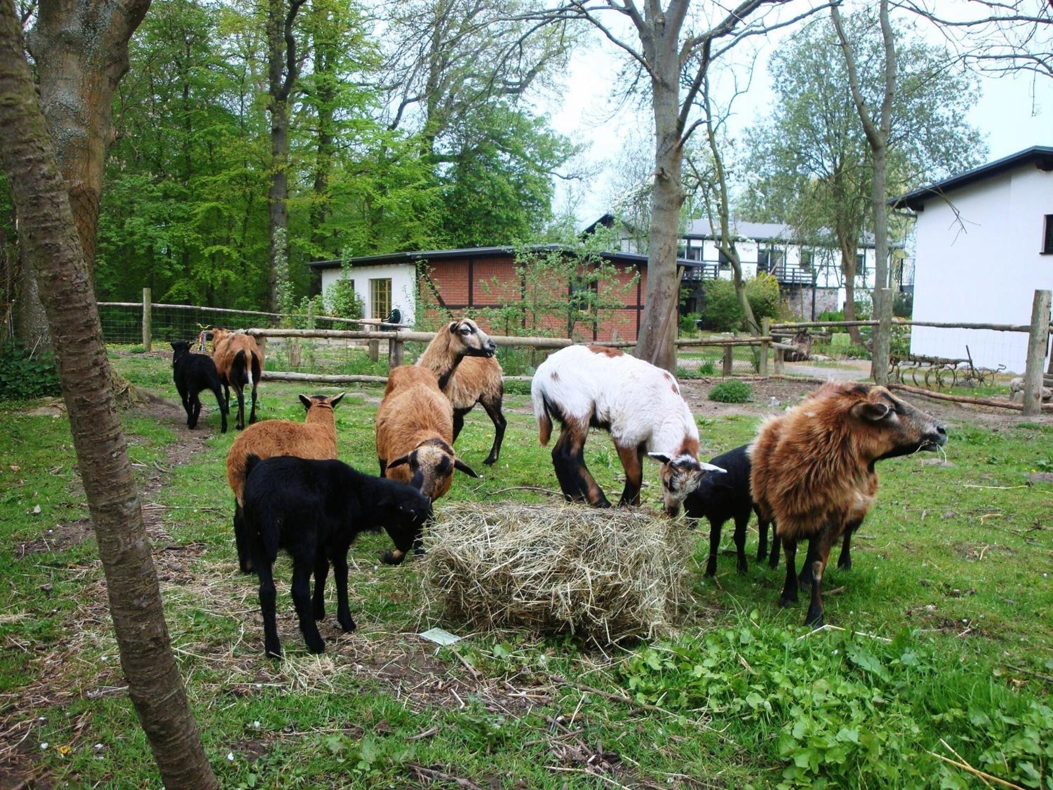 Gutspark Seeblick