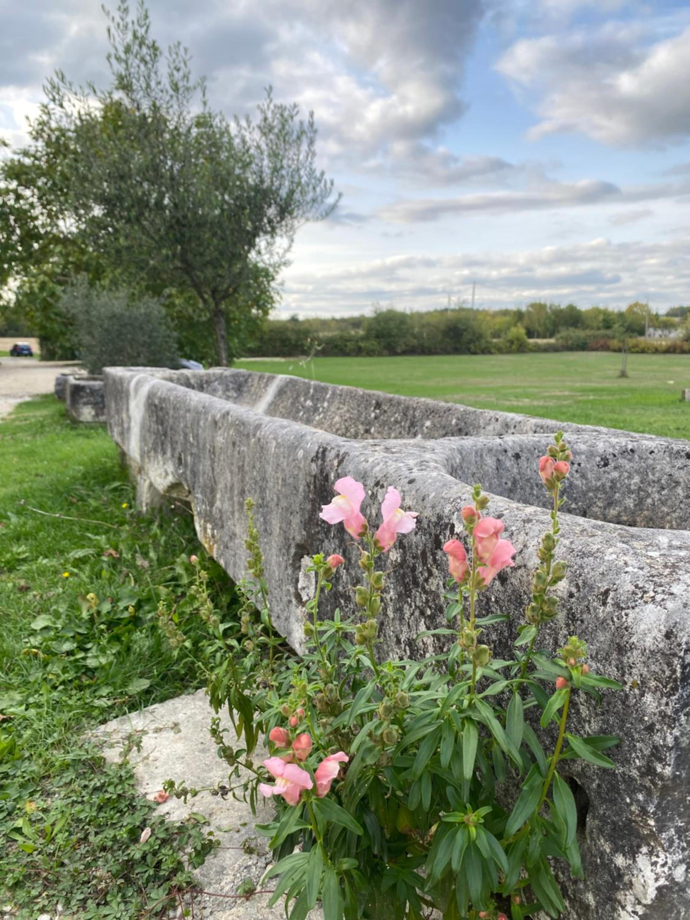 Domaine de la Laigne - Spa view 3