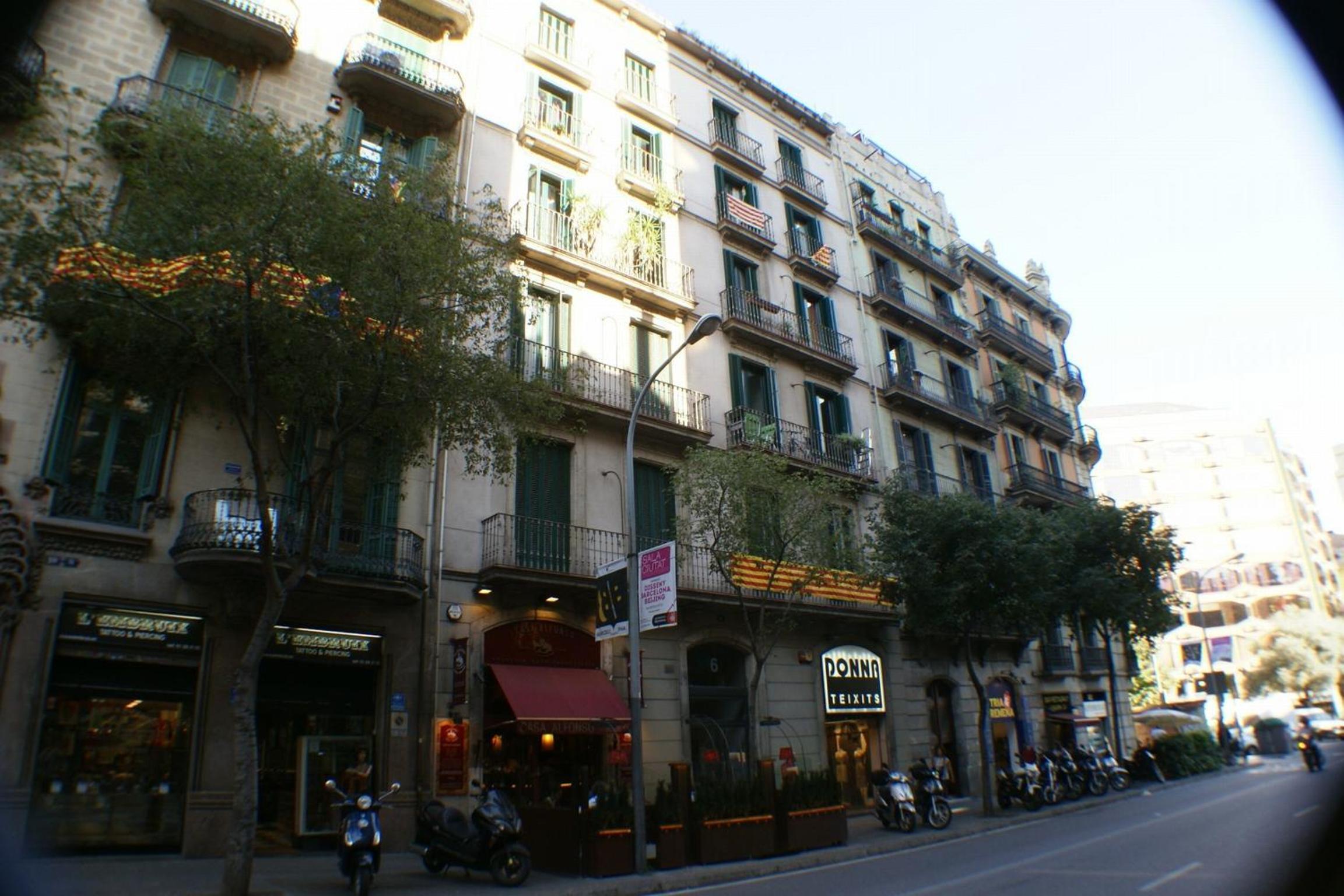 Flateli Llúria