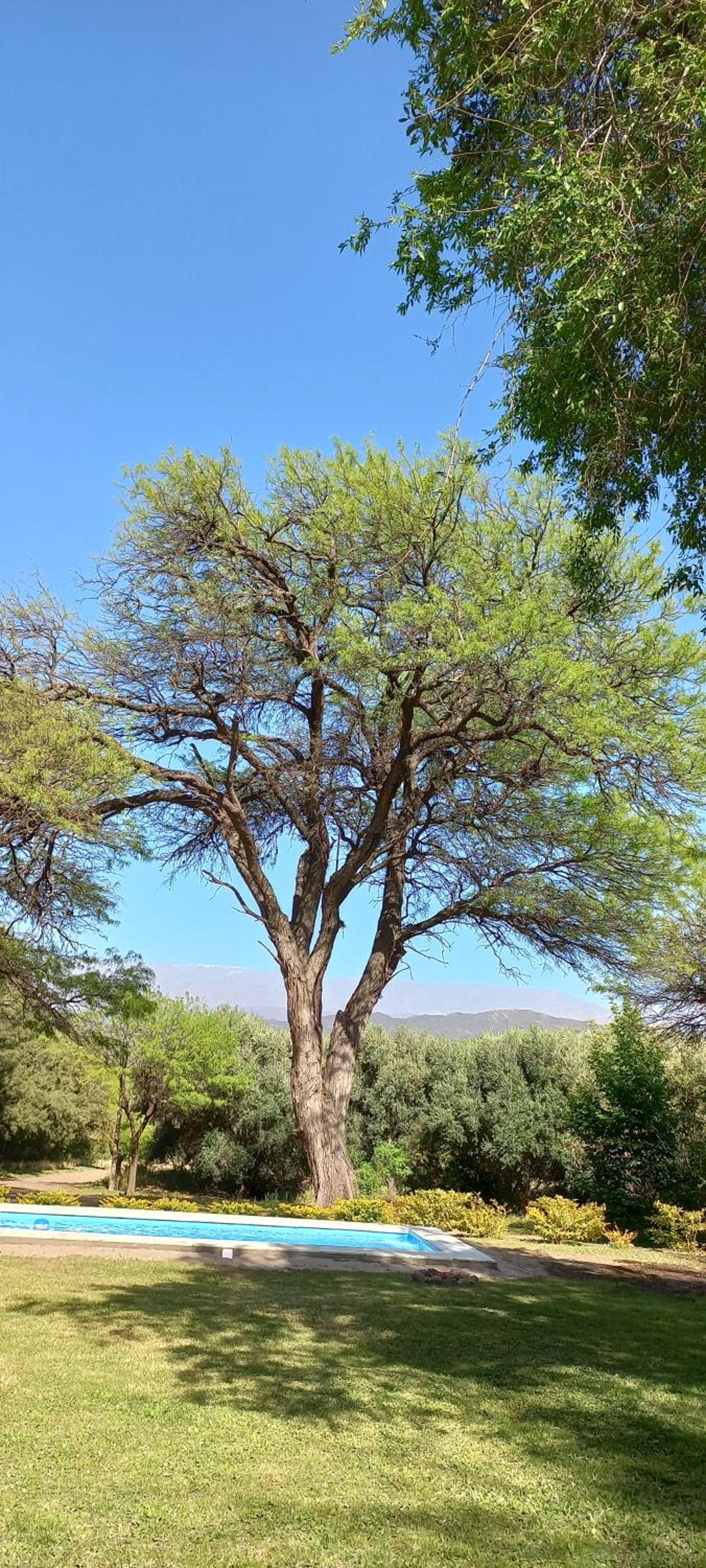 TADASANA CASA DE CAMPO