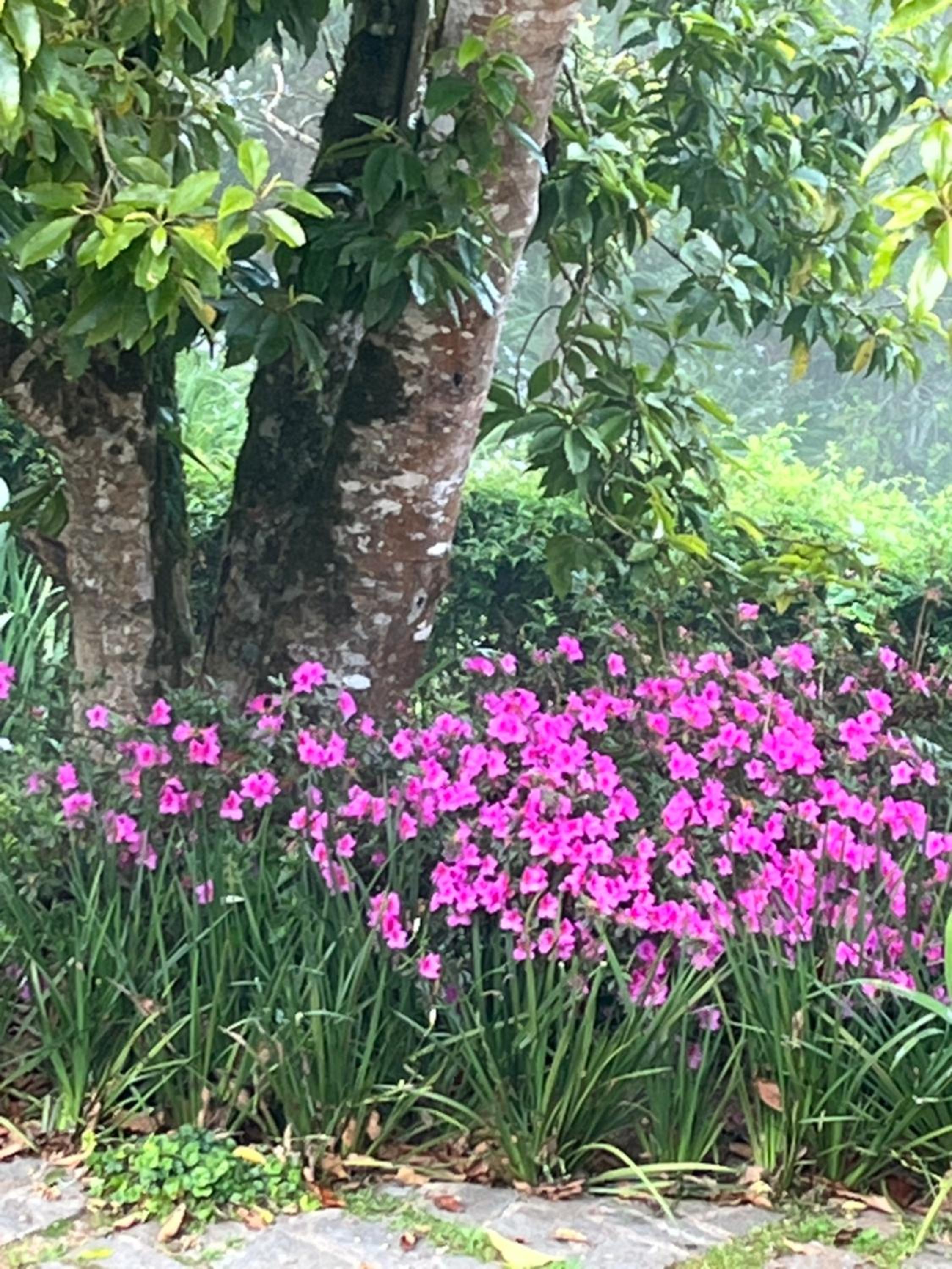 Sitio Nossa Senhora De Loreto