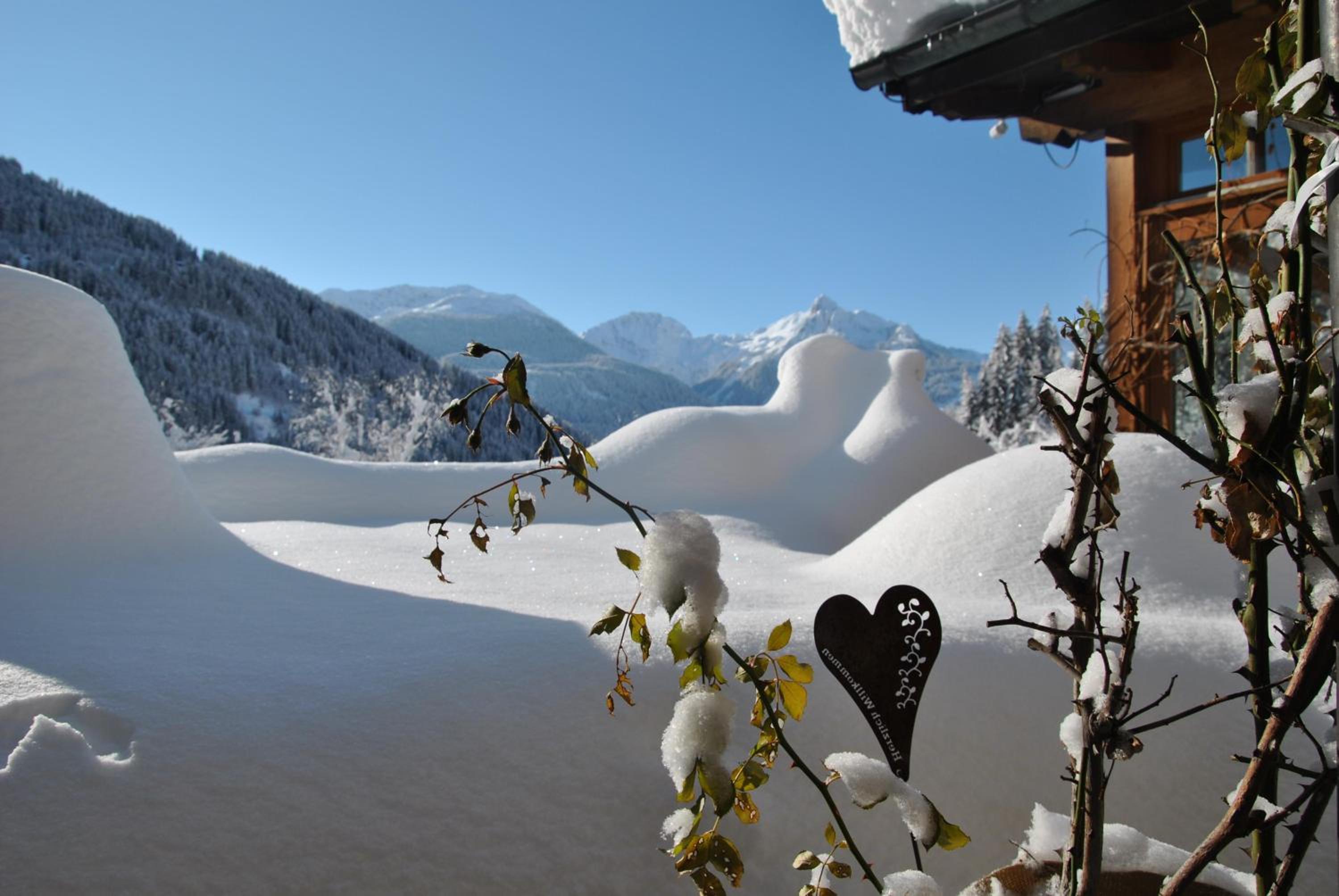 Aparthaus am Walde & Appartement Sonnenseite