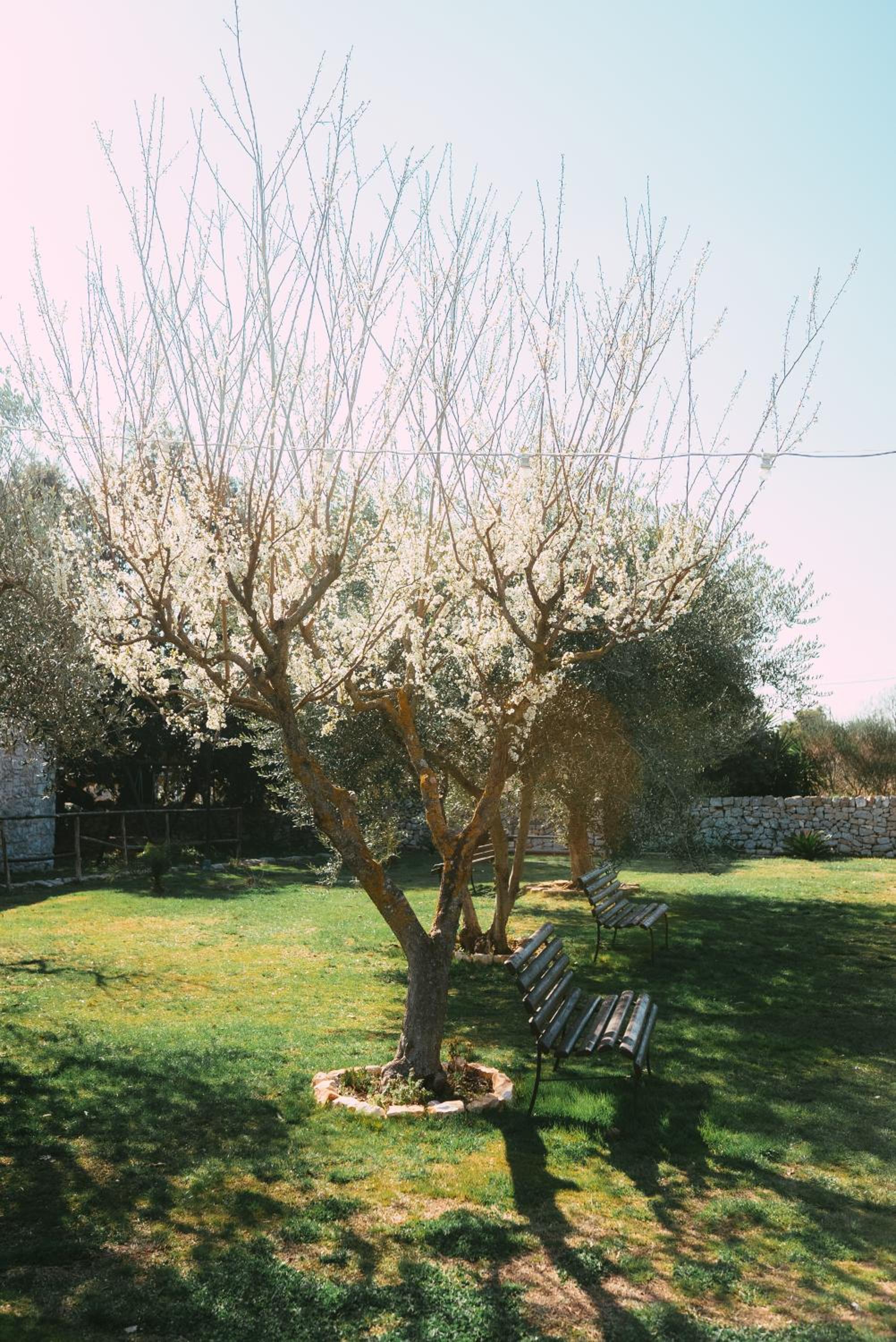 Masseria Montepaolo Dimora di Charme
