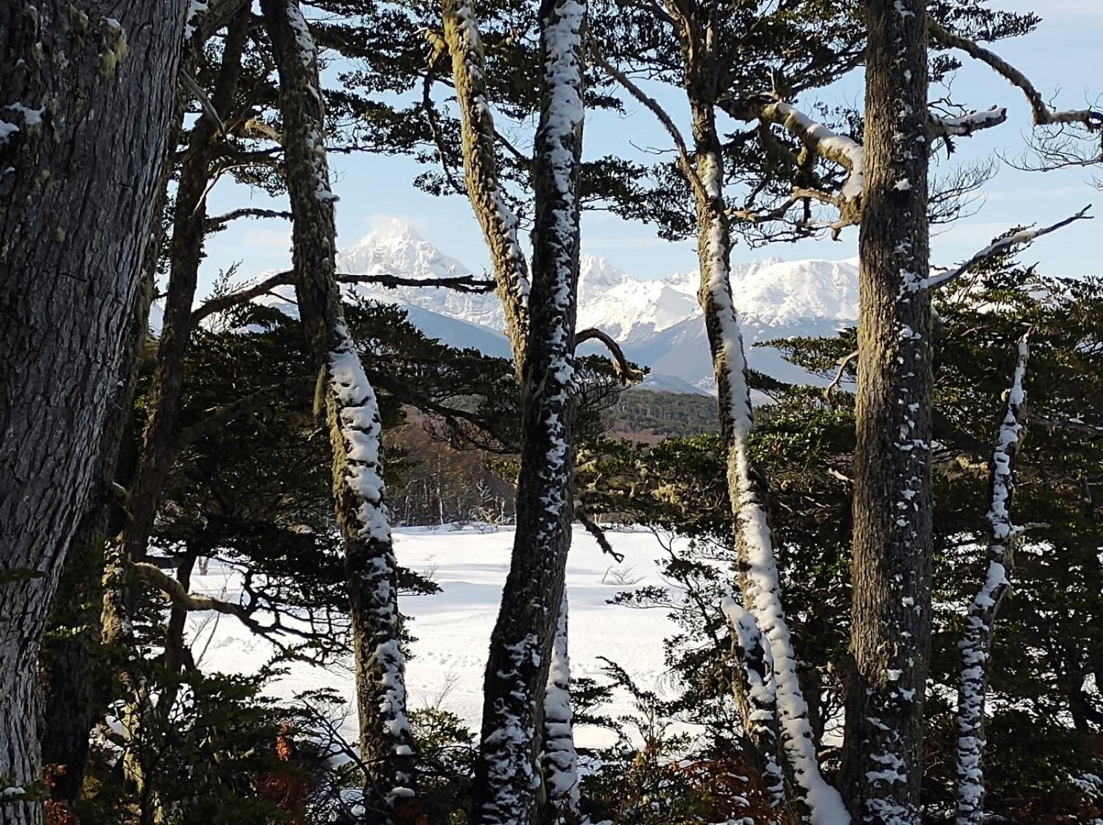 Monte Fueguino