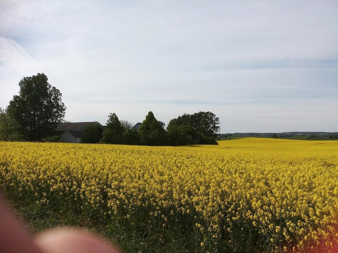 Photo 42