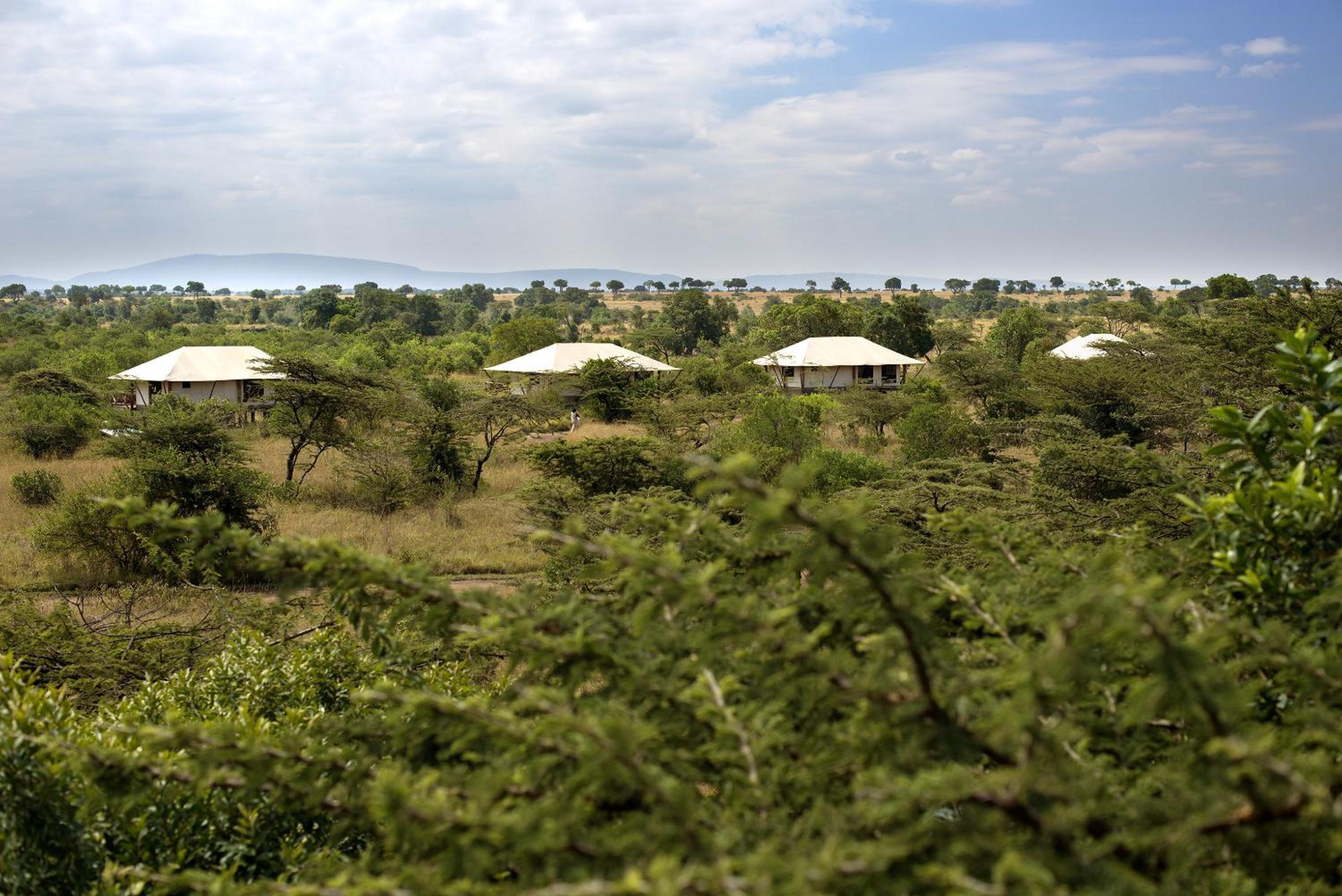 Masai Mara Vacations - Neptune Mara Rianta Luxury Camp - All Inclusive. - Property Image 45