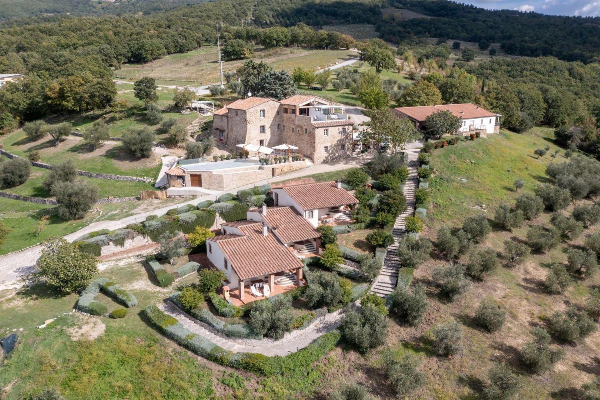 Letizia