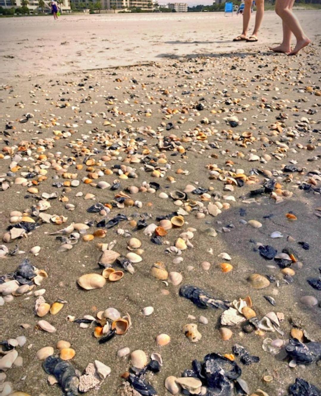Photo 45