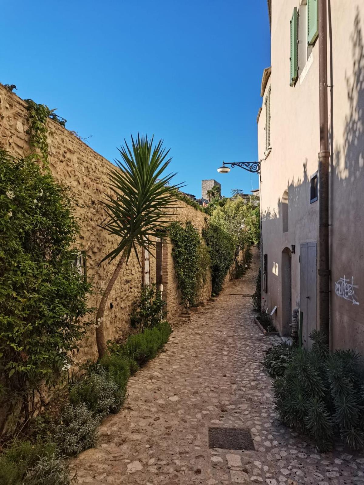 Monolocale Della svolta view 4