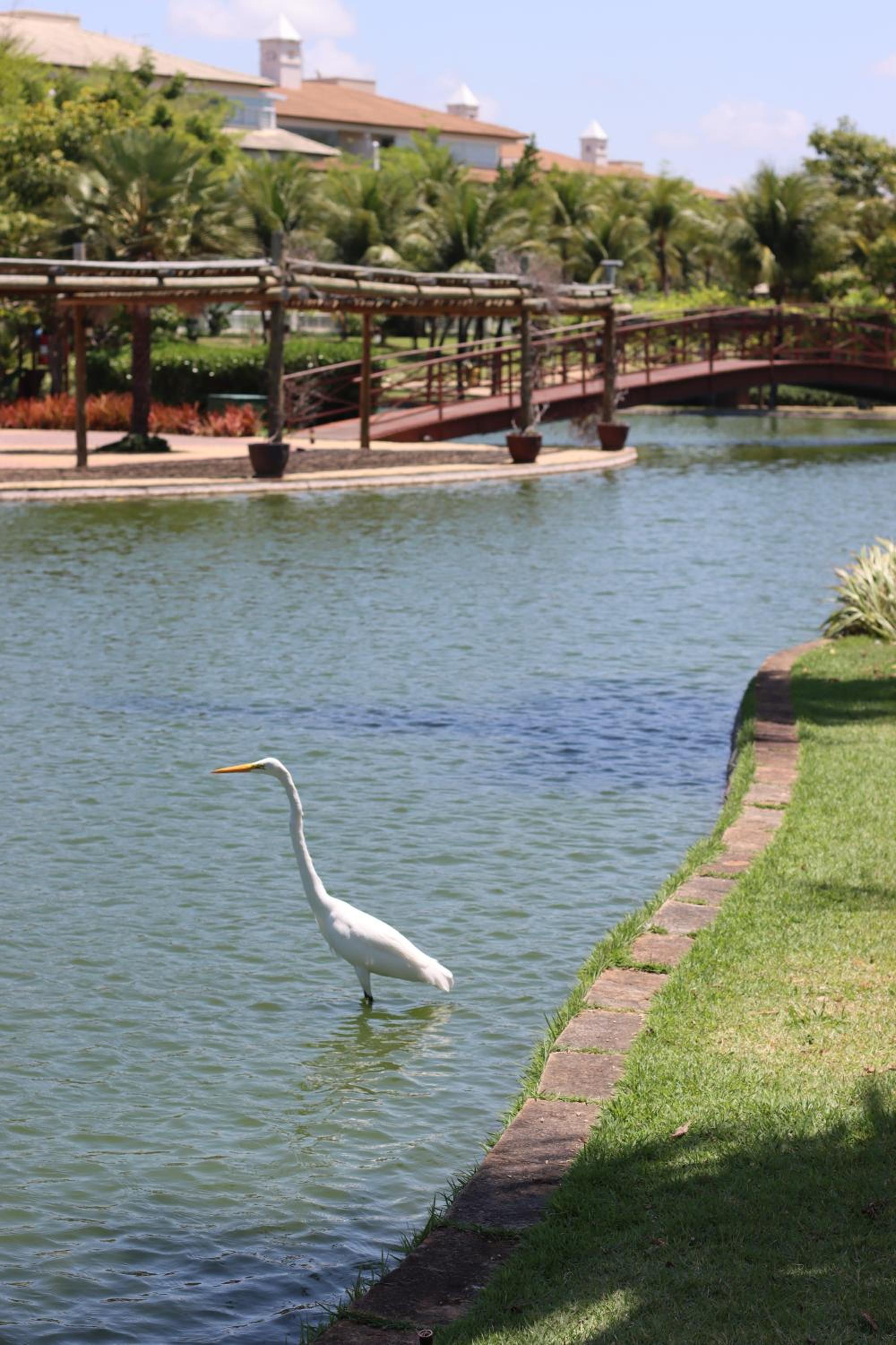 Golf Ville Resort Brisa do Golf -Apartamentos e Cobertura