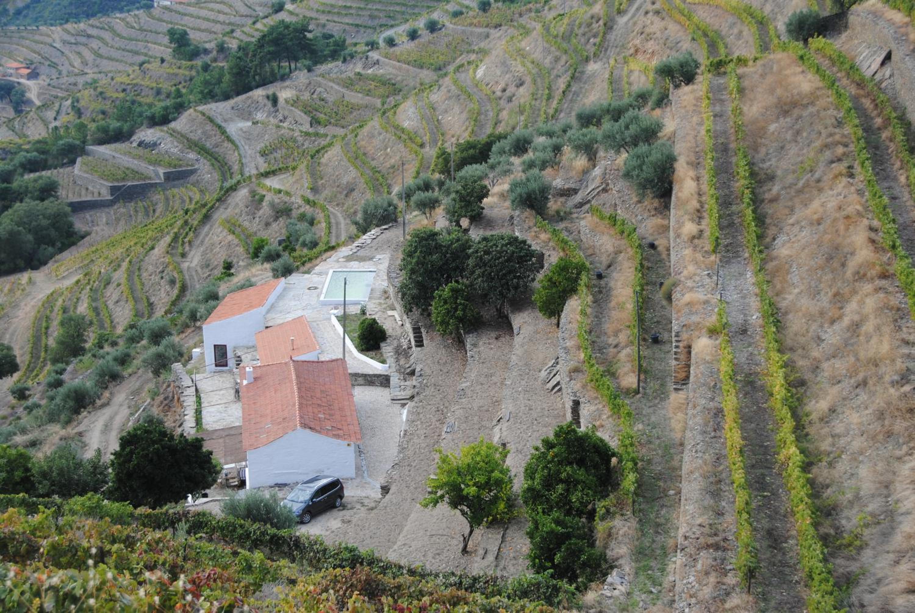 Country house Quinta da Salgueira view 2