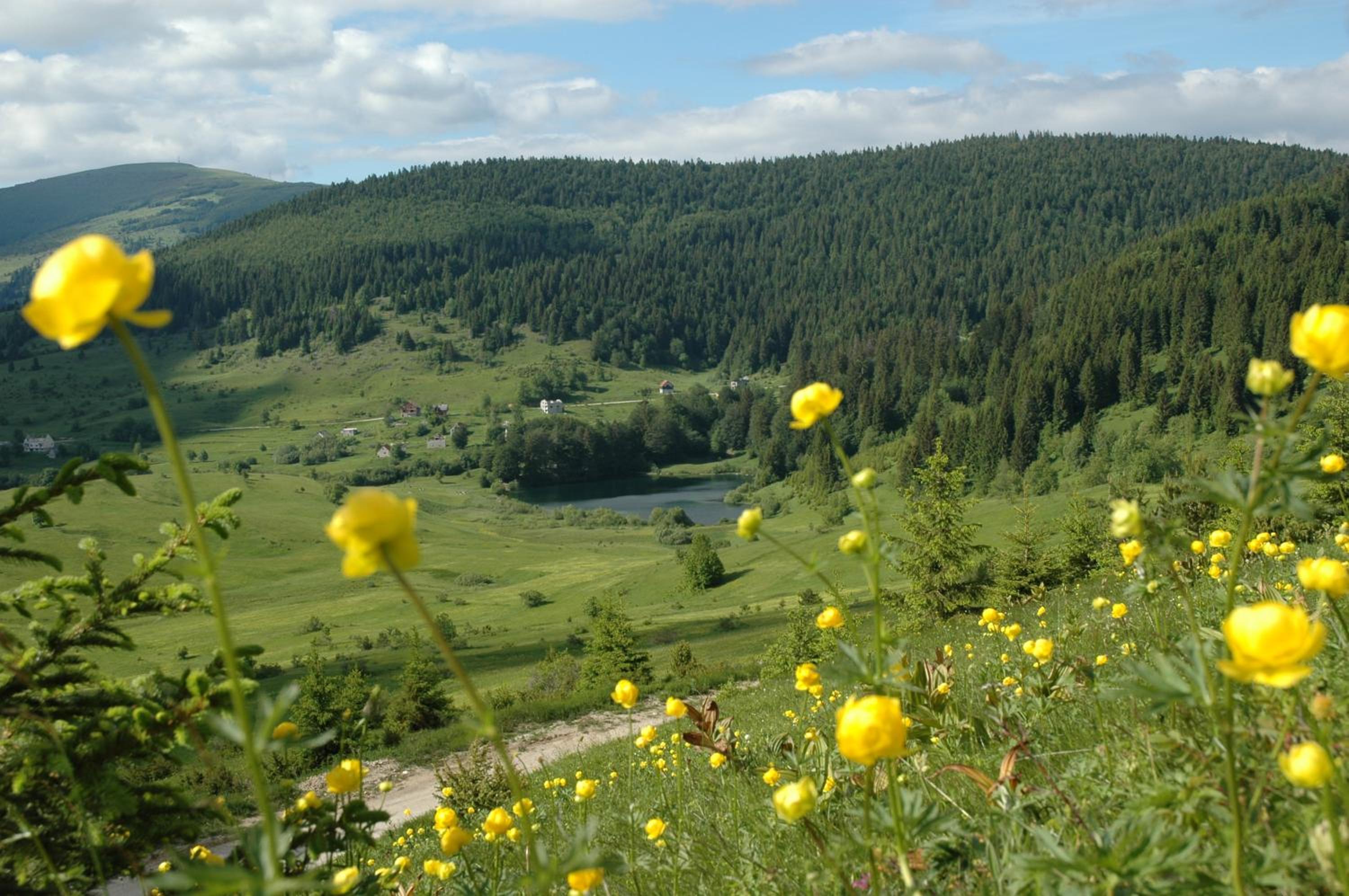Holiday home Maša - Kupres