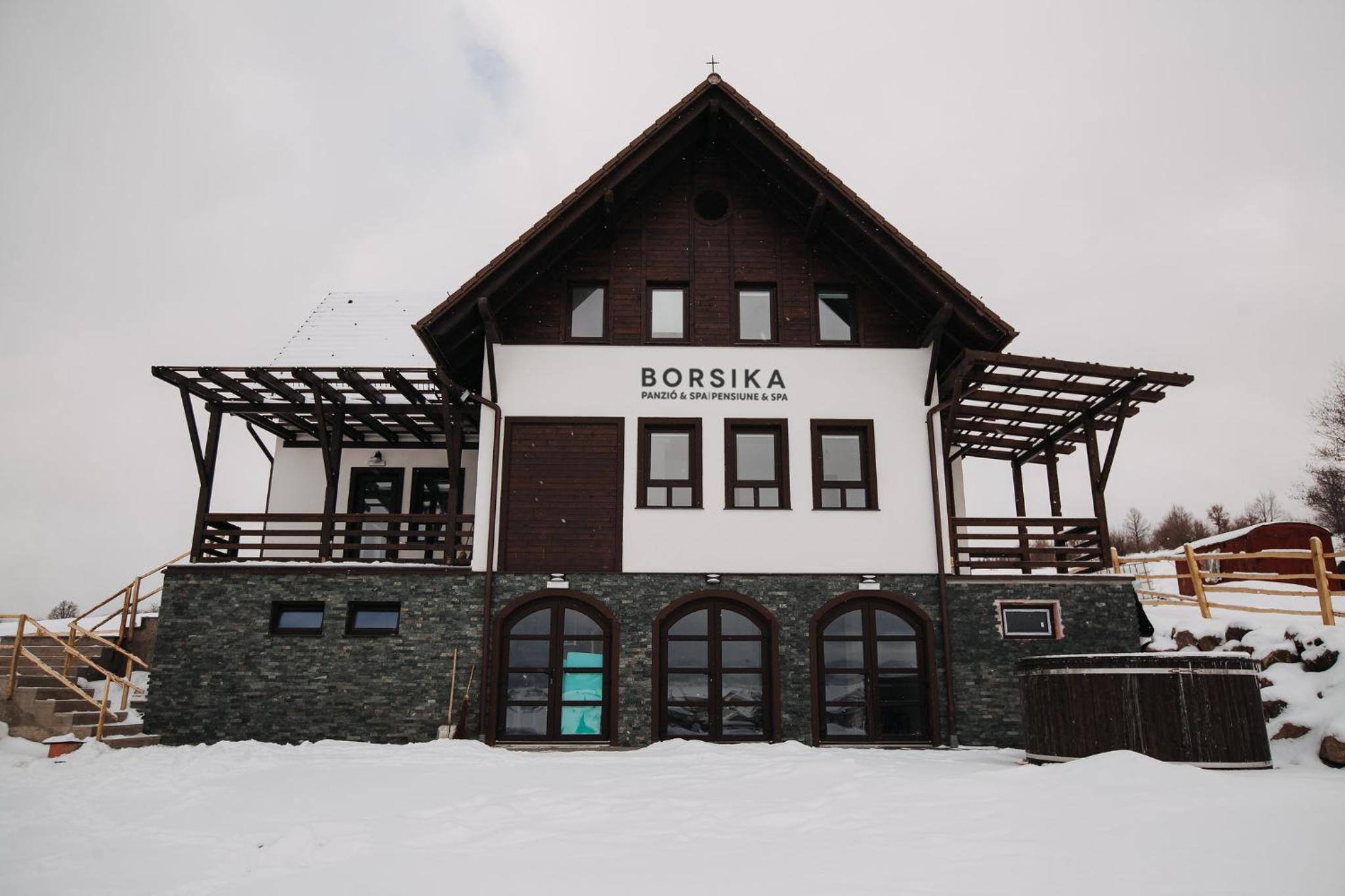 BORSIKA PENSIUNE & SPA view 5