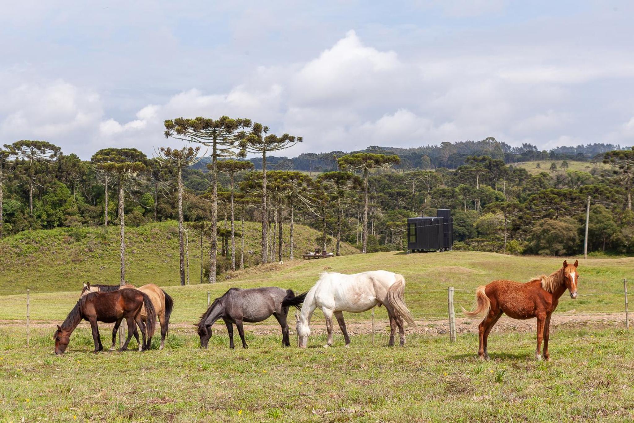 Brumas Casa de Campo - Cambará do Sul