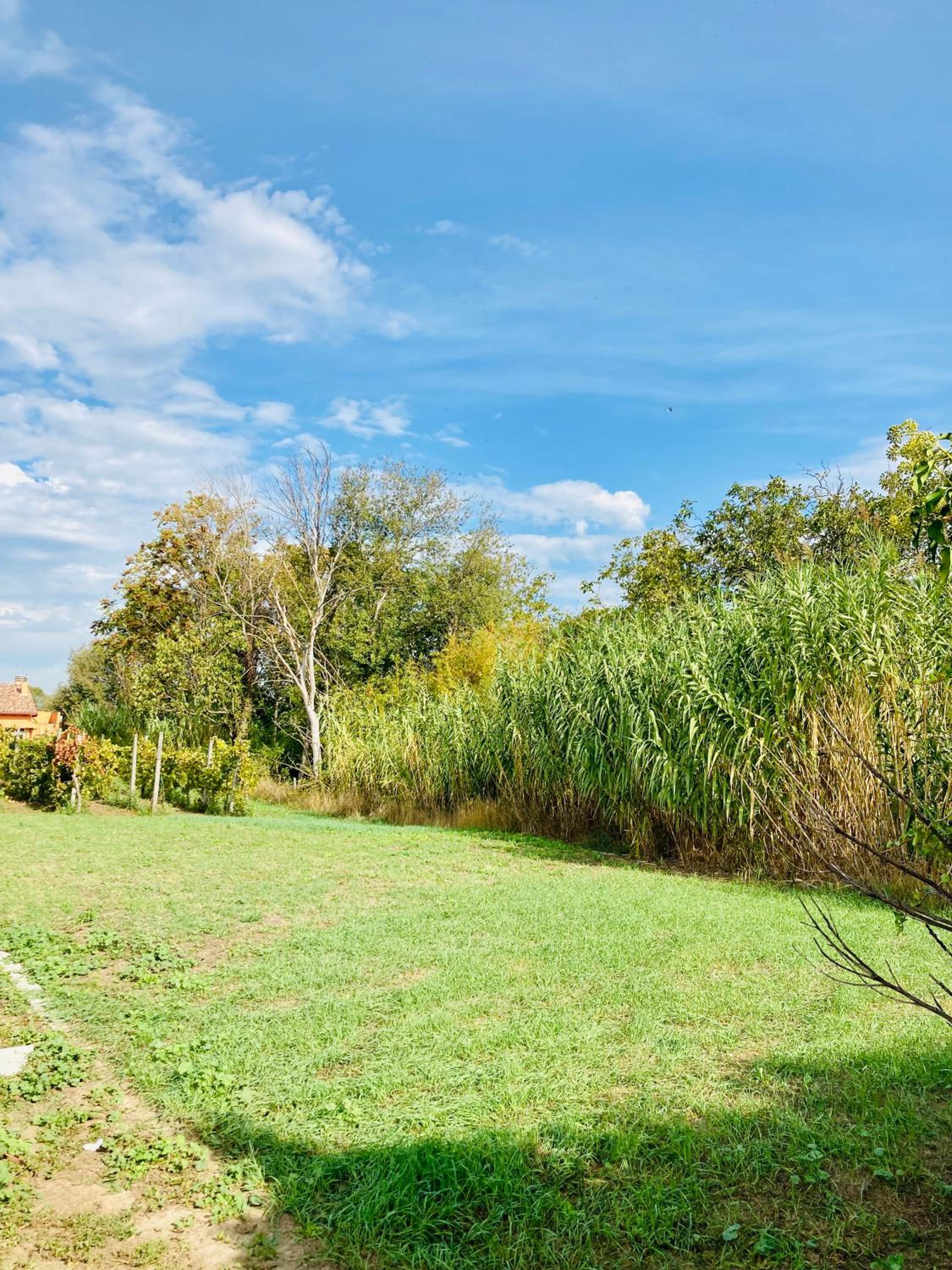 Villa Bubù, Appartamento Country-chic