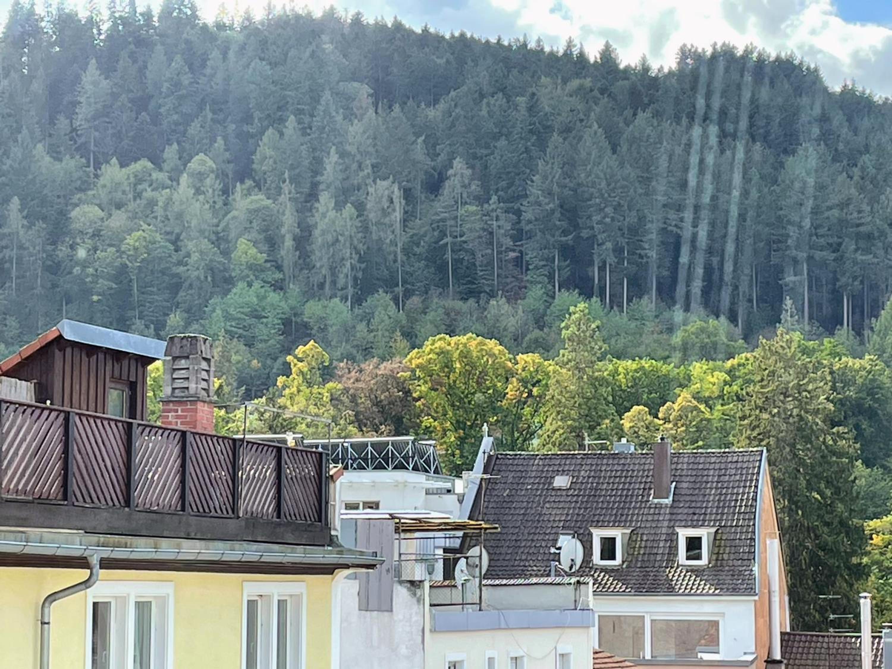 Black Forest Apartment