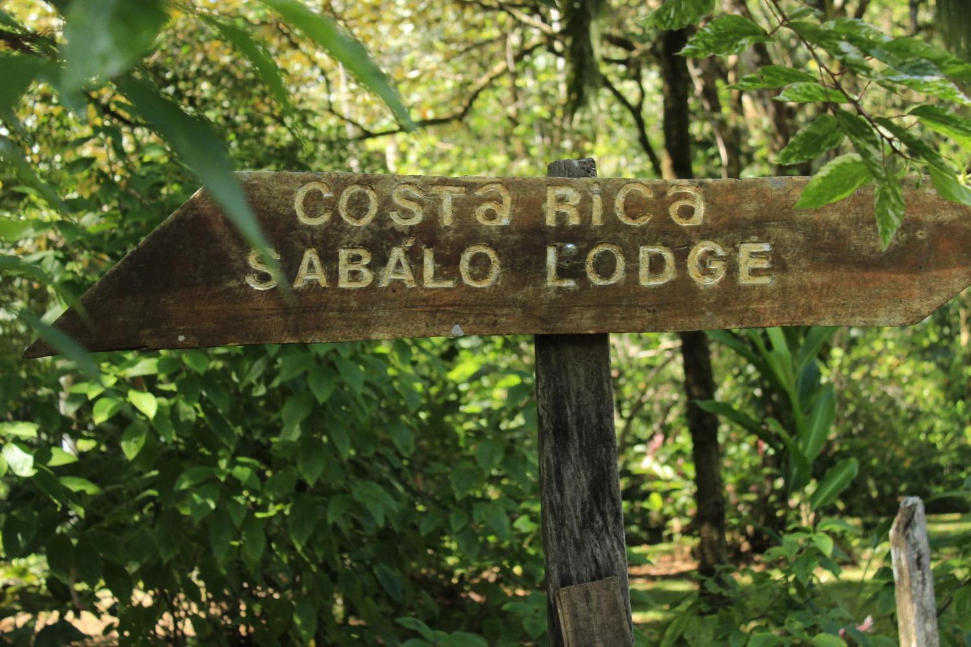 Photo 116