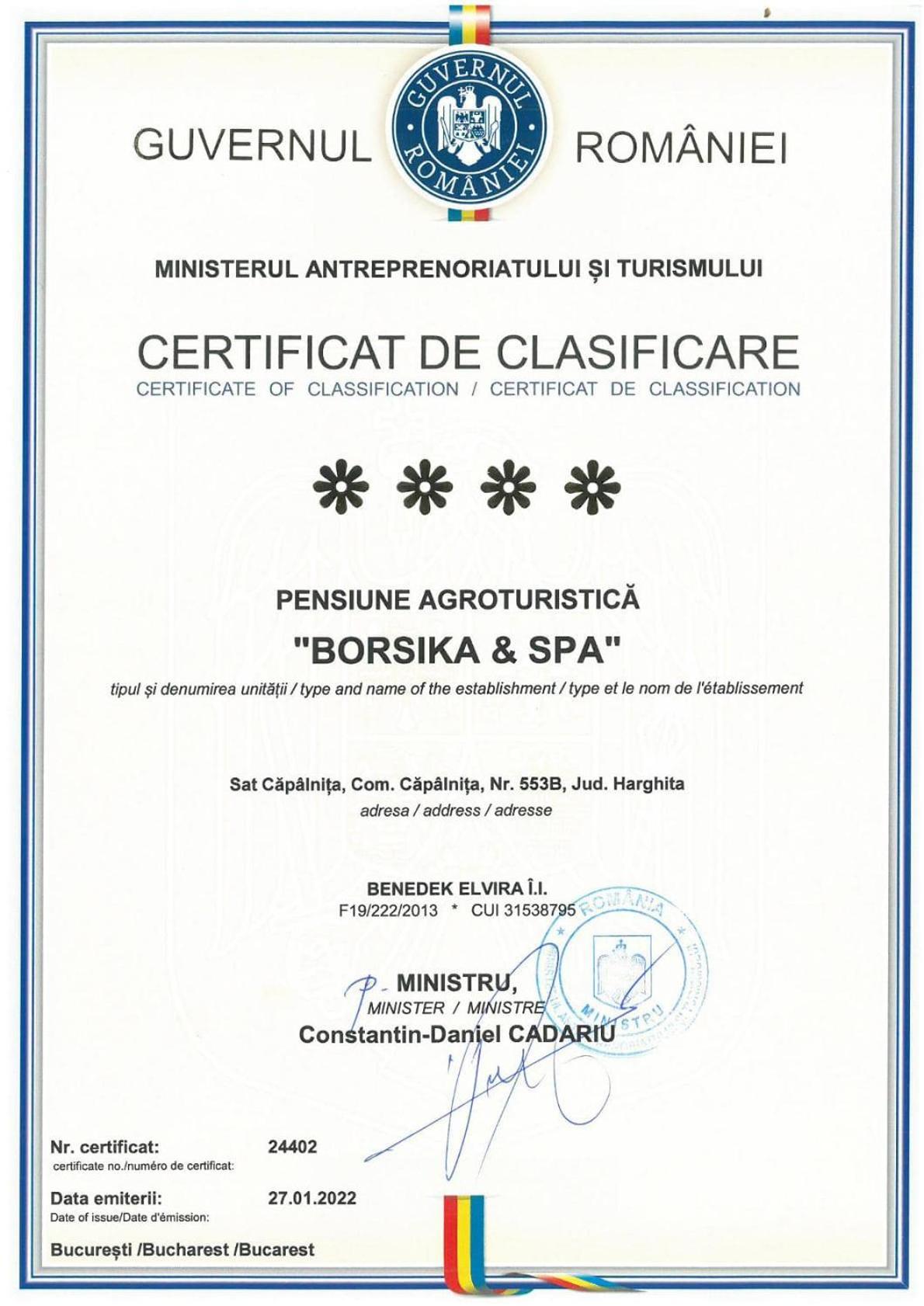 BORSIKA PENSIUNE & SPA view 2