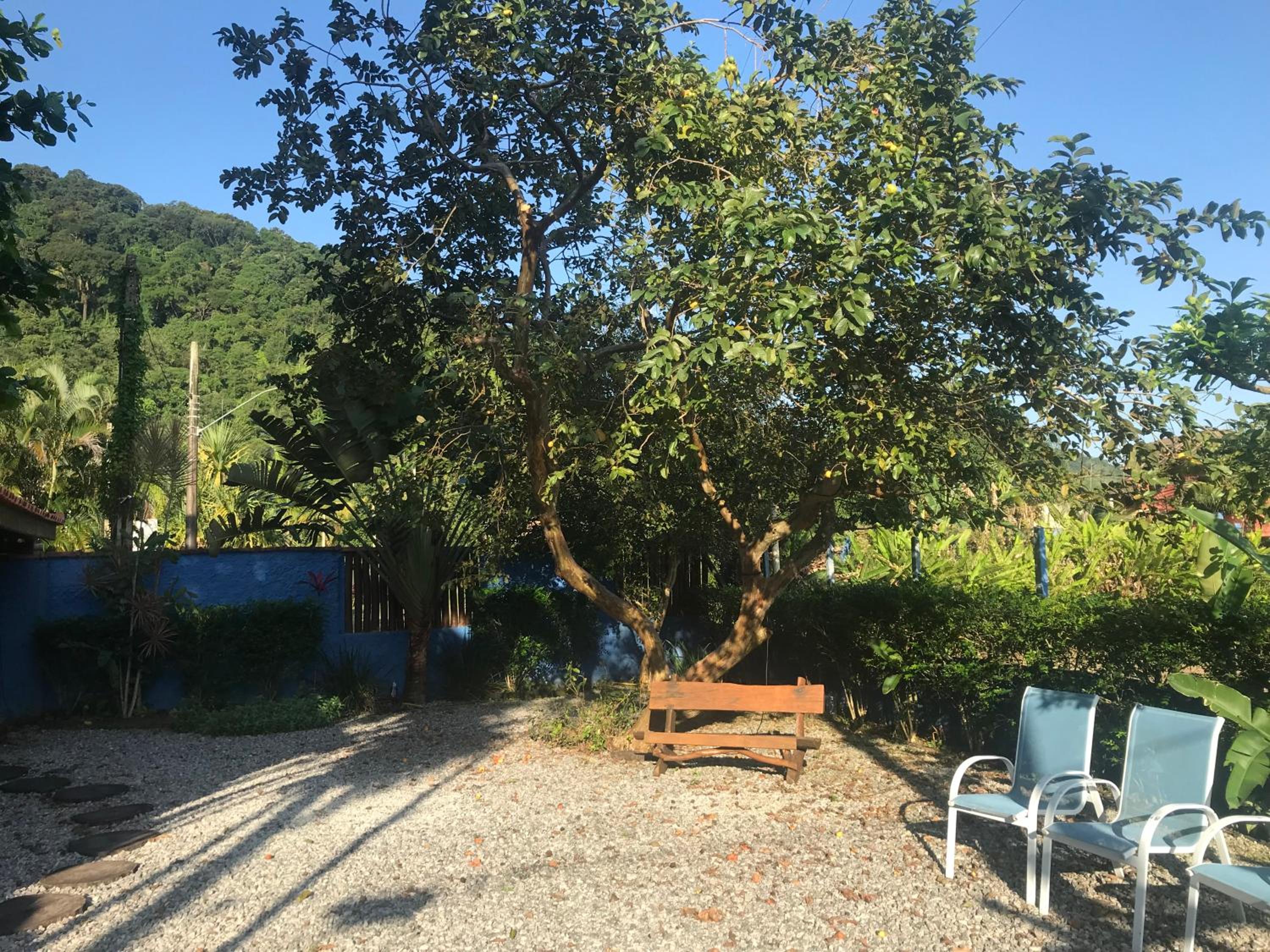 Photo 19