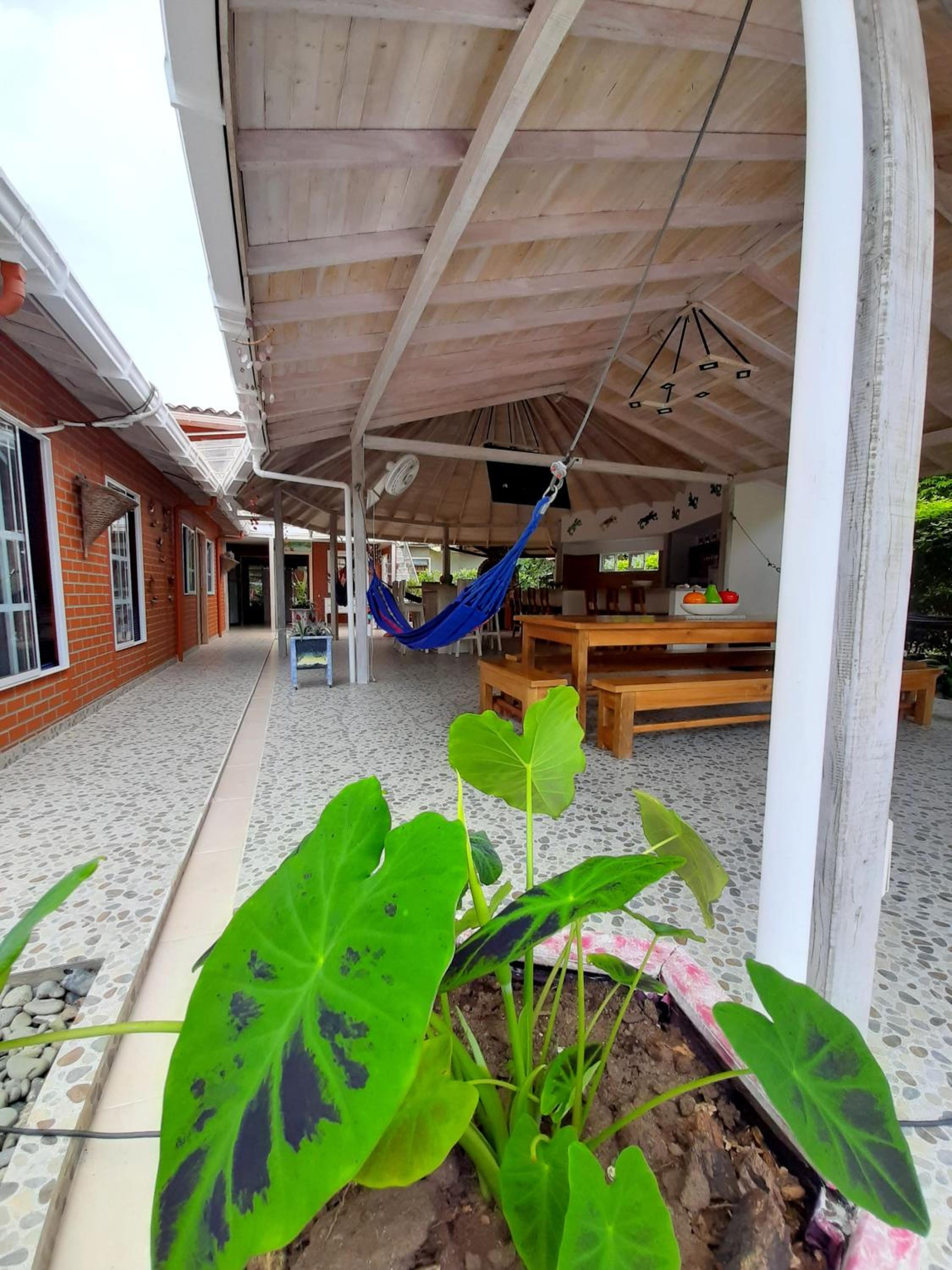 Hostal Bralgijon Capurganá