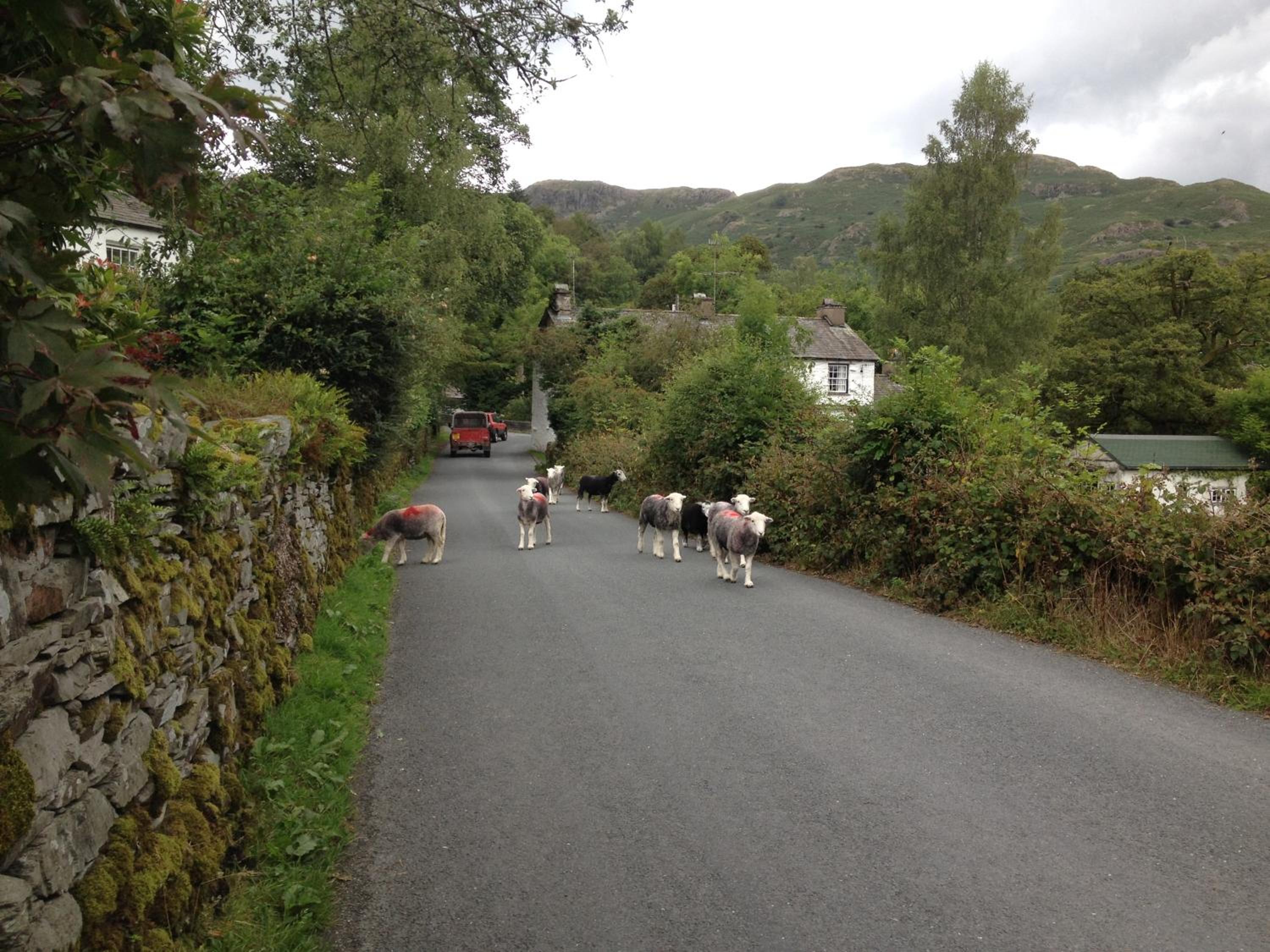 Elterwater Hostel