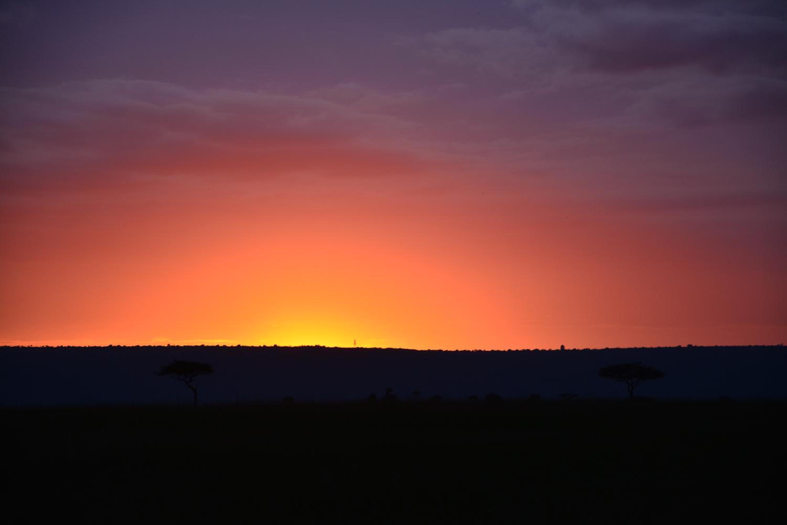 Masai Mara Vacations - Neptune Mara Rianta Luxury Camp - All Inclusive. - Property Image 14